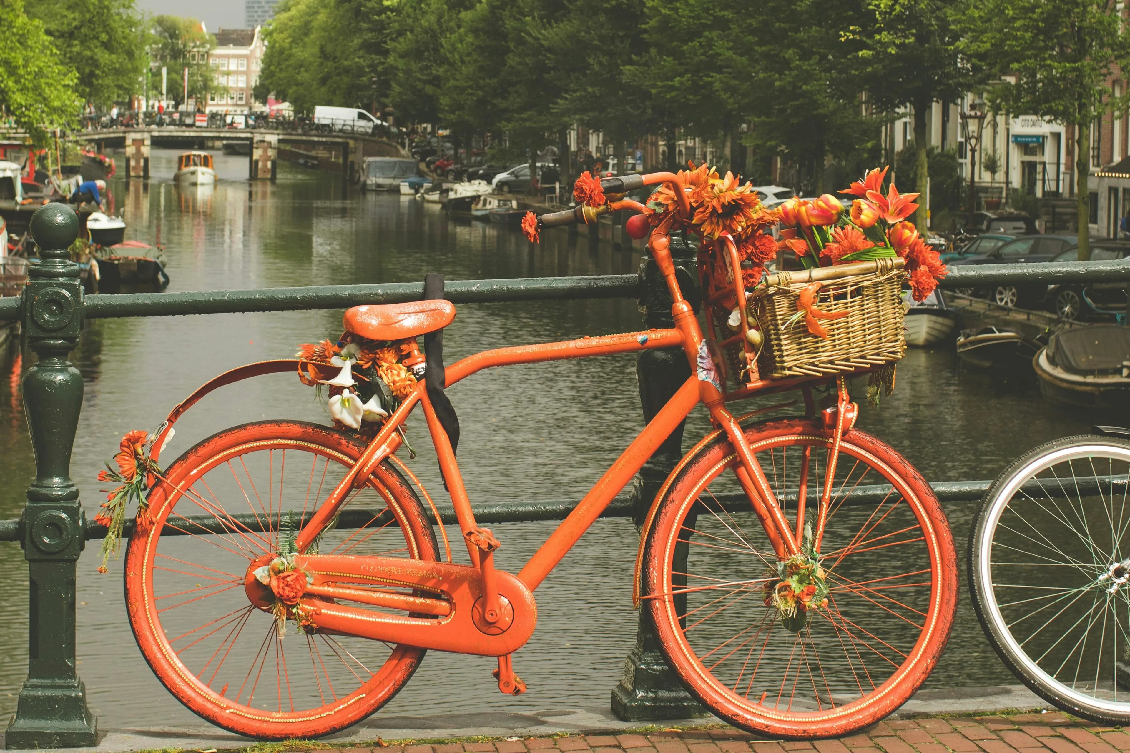 Gedicht Catharina | Koningsdag