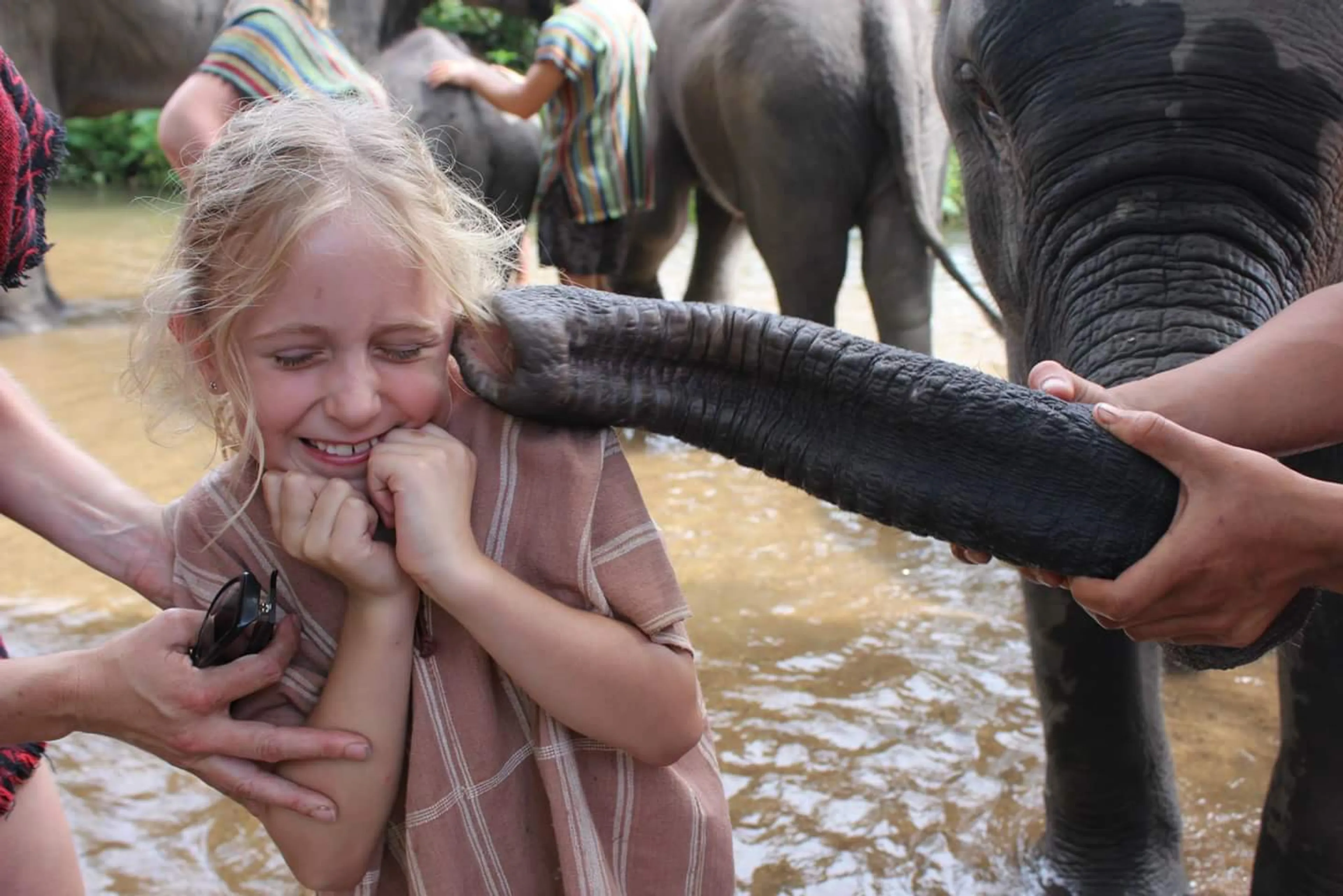 Blog Jurgen | Op bezoek bij Luna’s adoptieolifant in Thailand