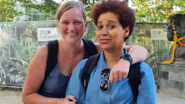 Uitgelichte afbeelding