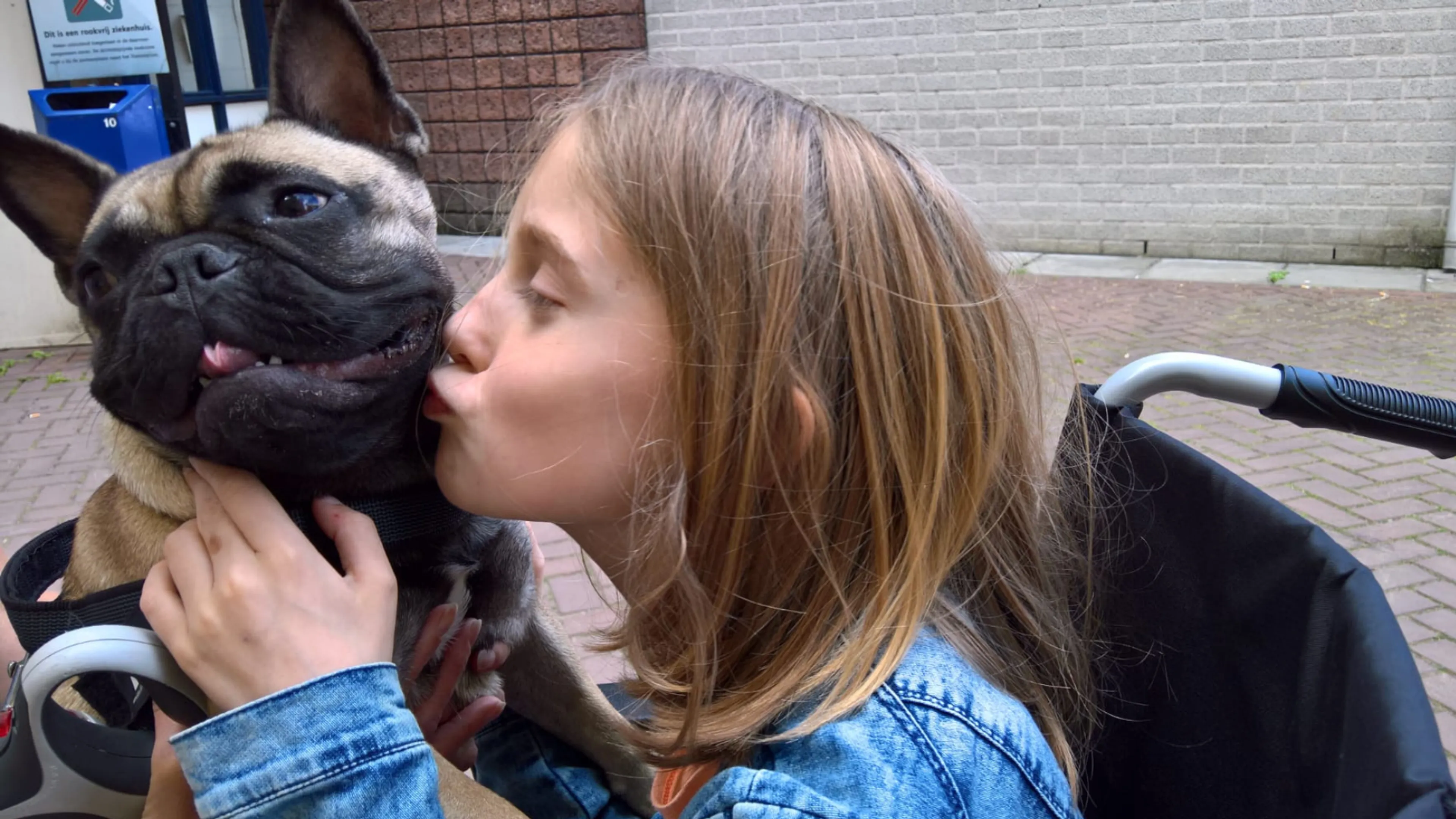 Jurgen moet zijn hondje Tazz laten cremeren: ‘Wat ga ik die ouwe mopperkont missen’