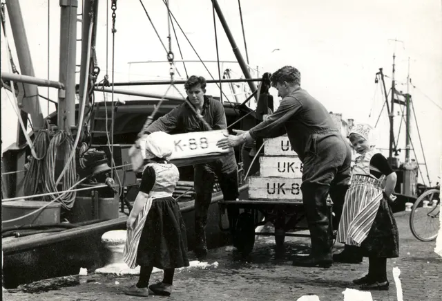 Uitgelichte afbeelding