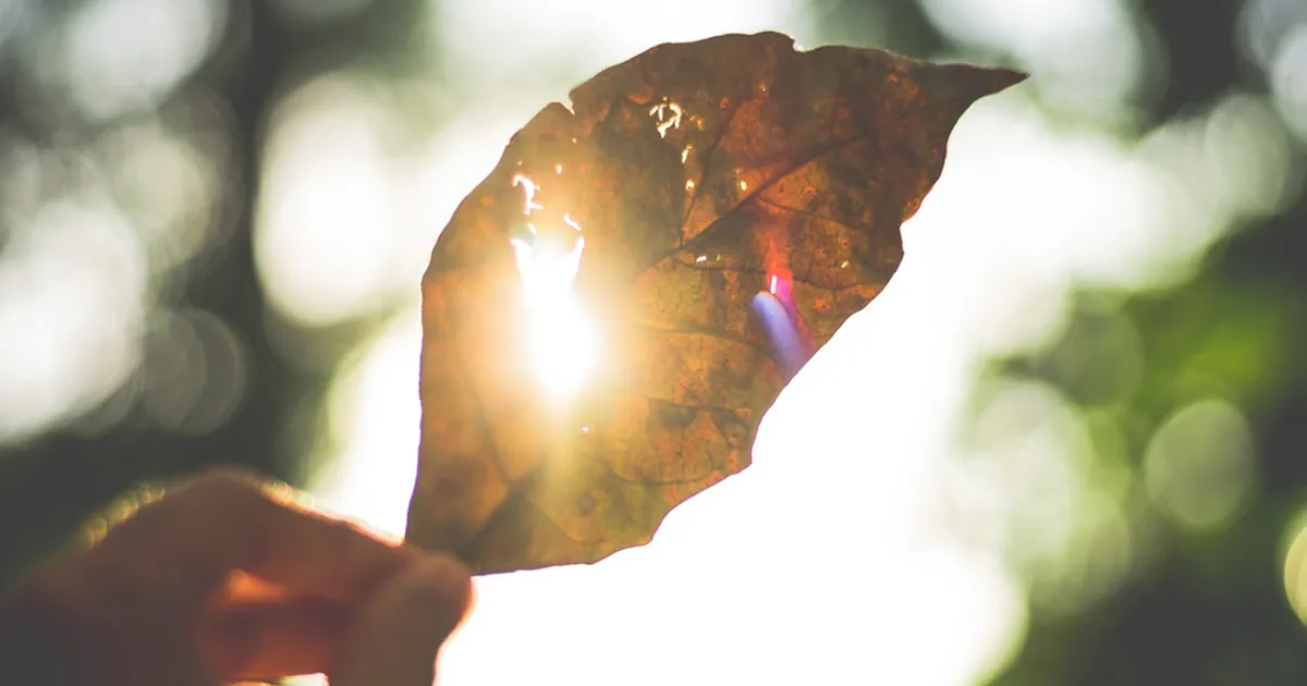 Gedicht | Jij kunt 't verschil zijn! | Marinus van den Berg - Ik mis je