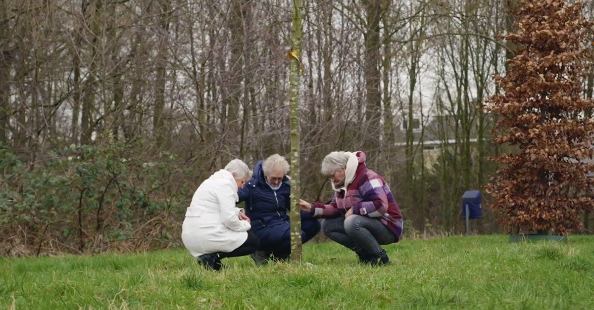 Drie zussen verliezen alledrie een dochter en planten een boom ter nagedachtenis