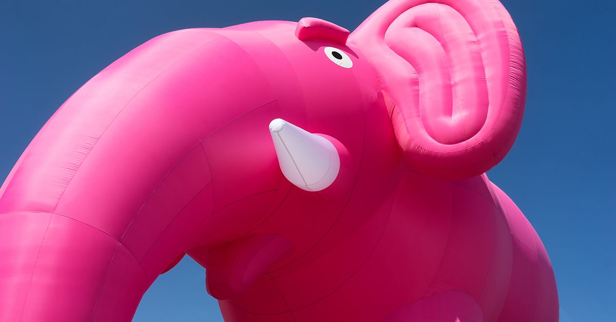 Daan Westerink | De roze olifant van verdriet