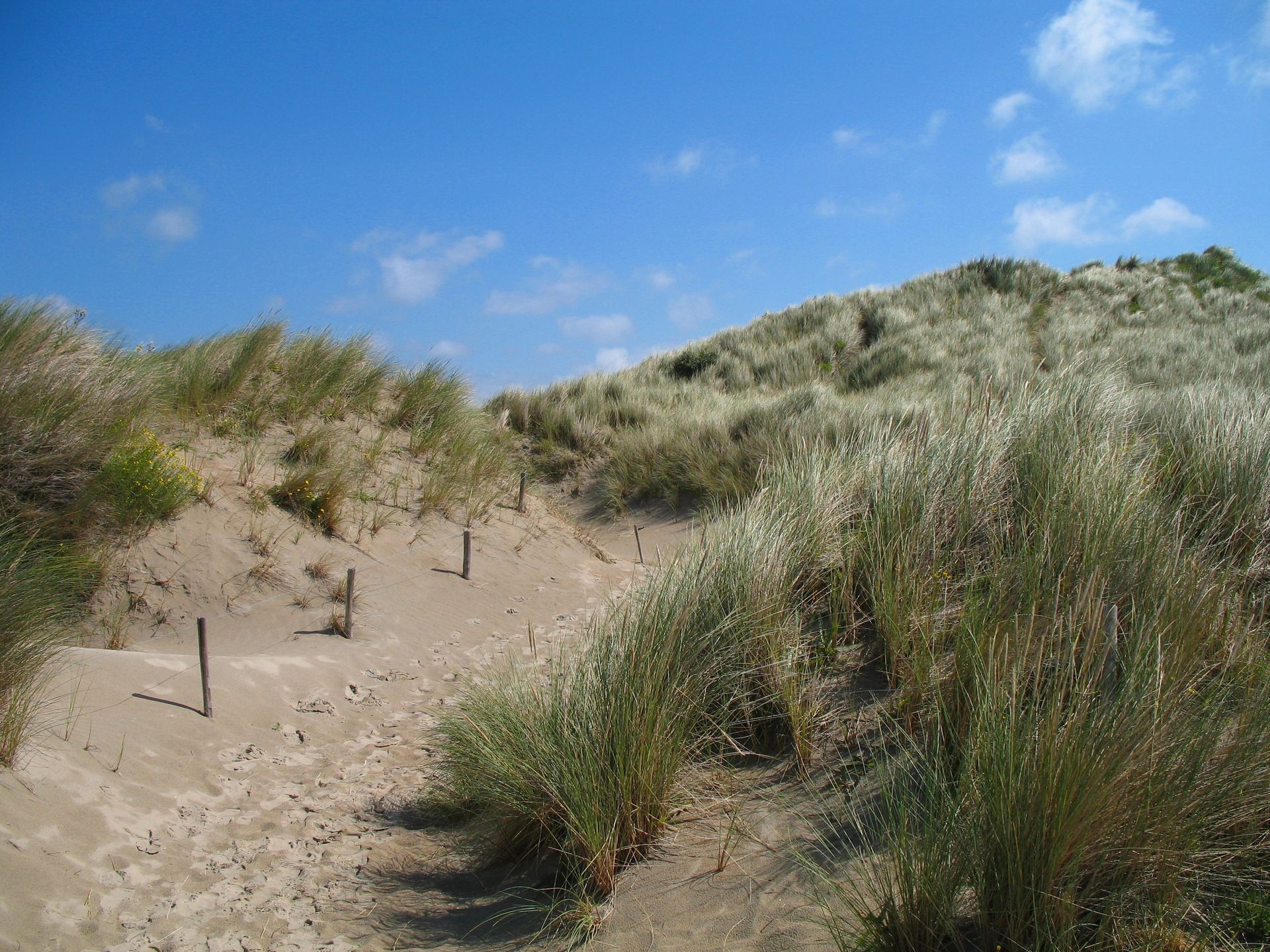 Ter_Yde_Duinen_01