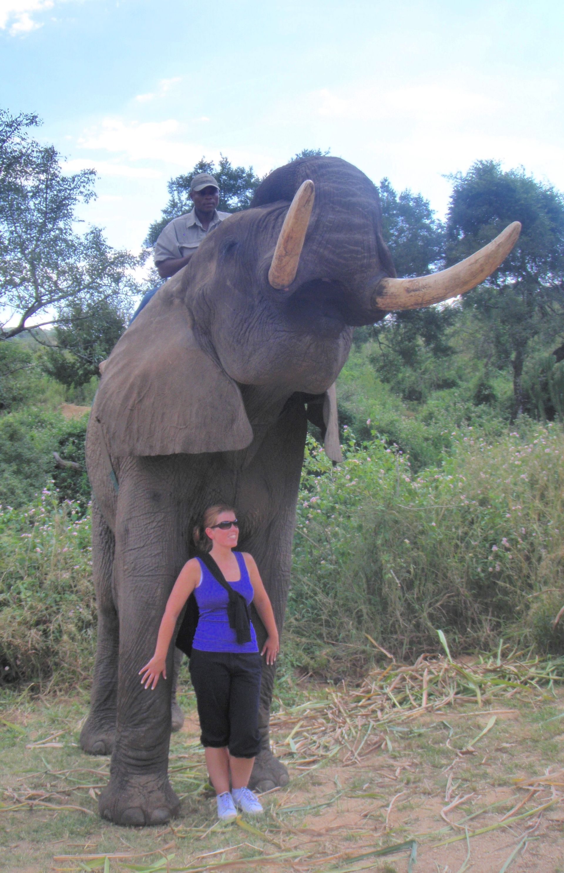 Linda en olifant