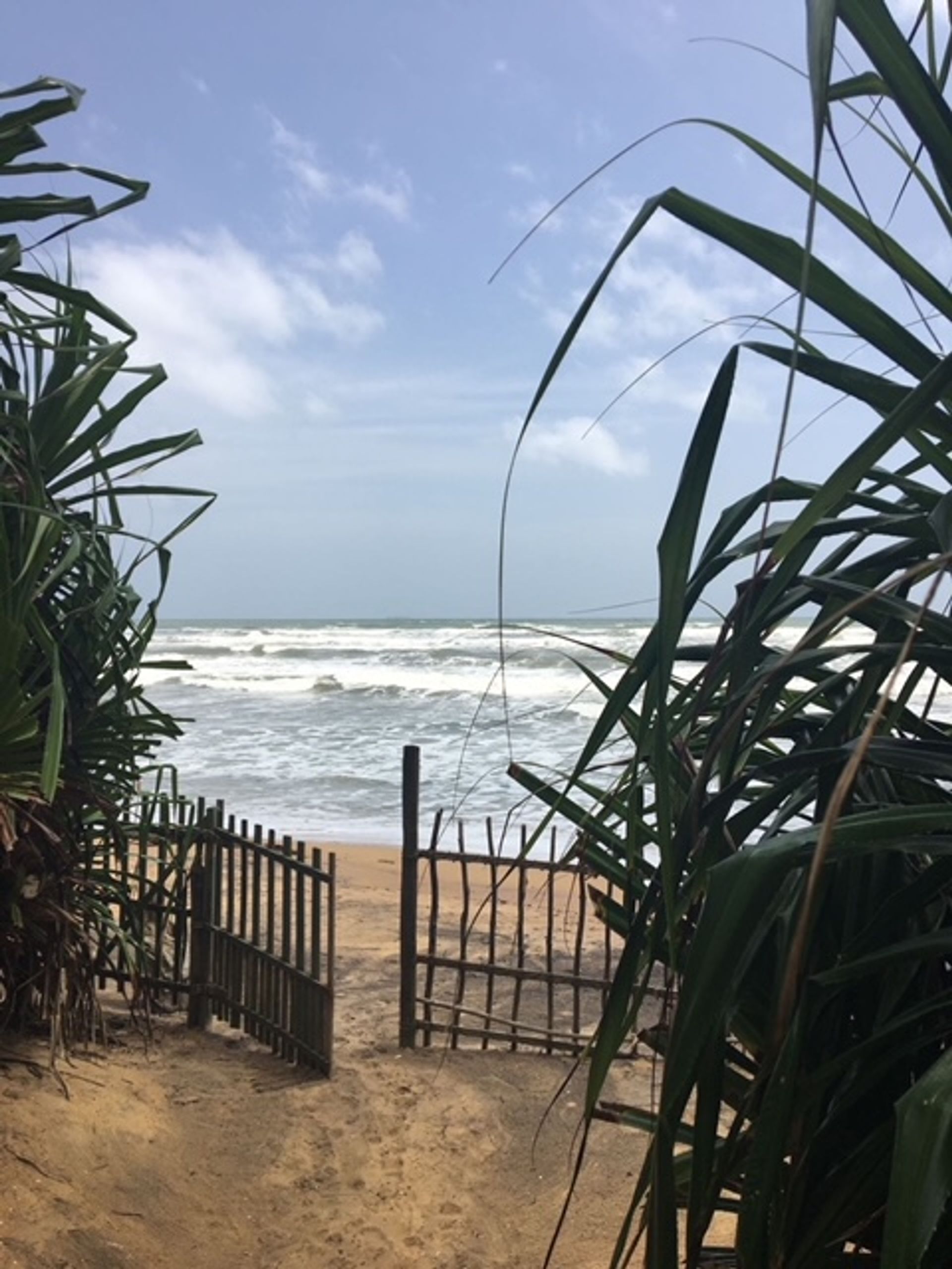 Sri Lanka2
