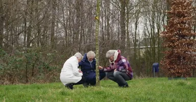 Drie zussen verliezen alledrie een dochter en planten een boom ter nagedachtenis