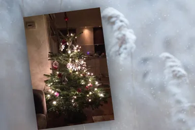 Blog Esther | Onze eigen Dennisboom