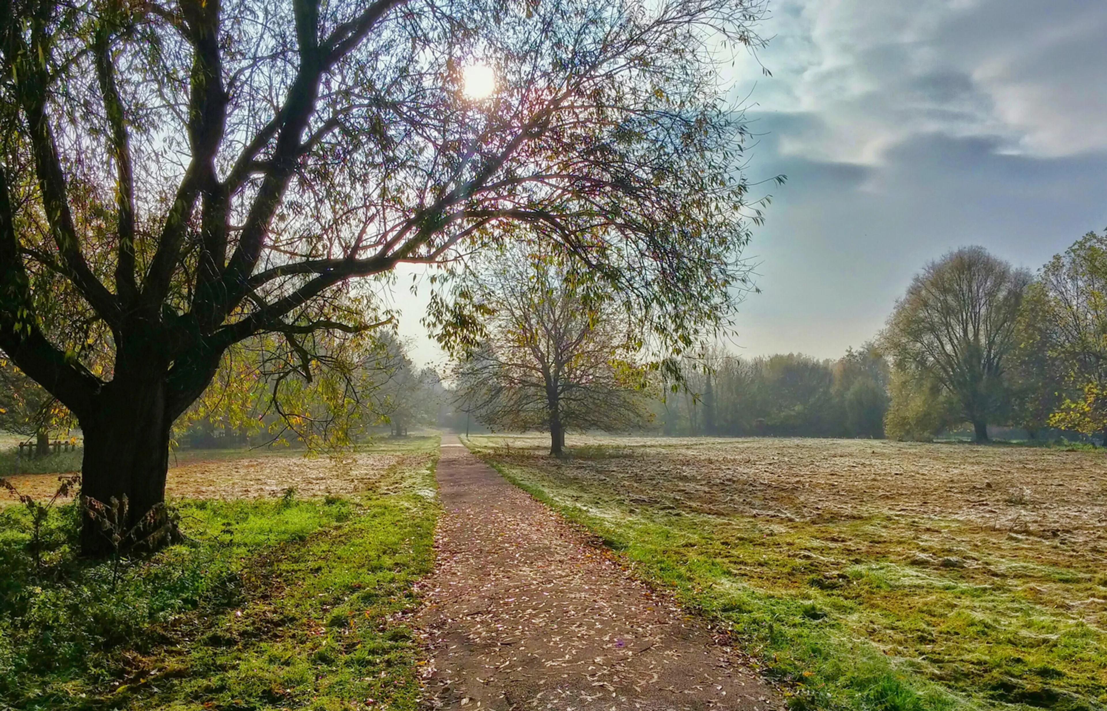 Uitgelichte afbeelding