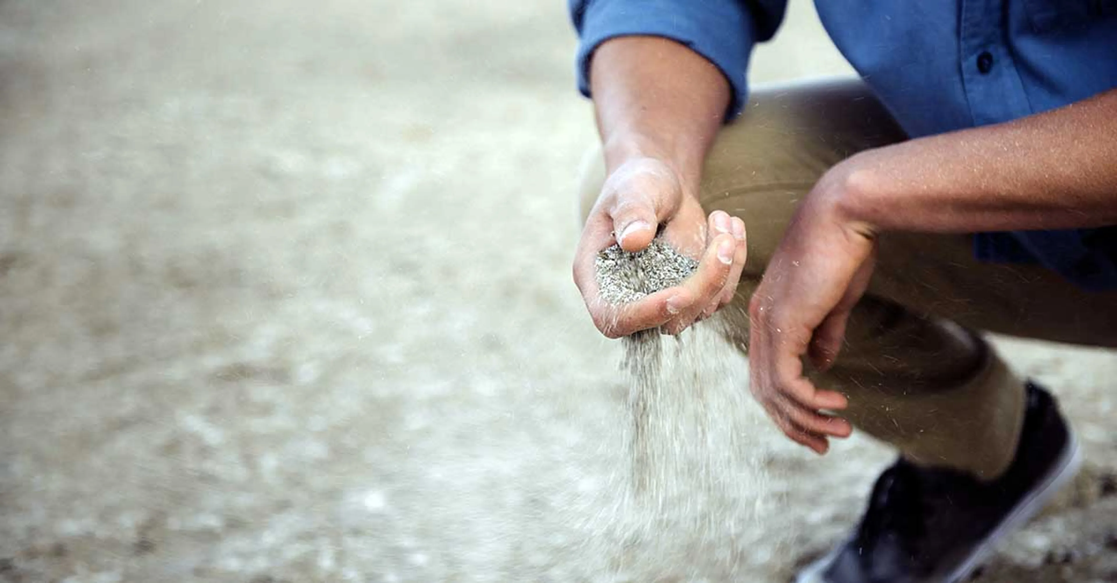 Uitgelichte afbeelding