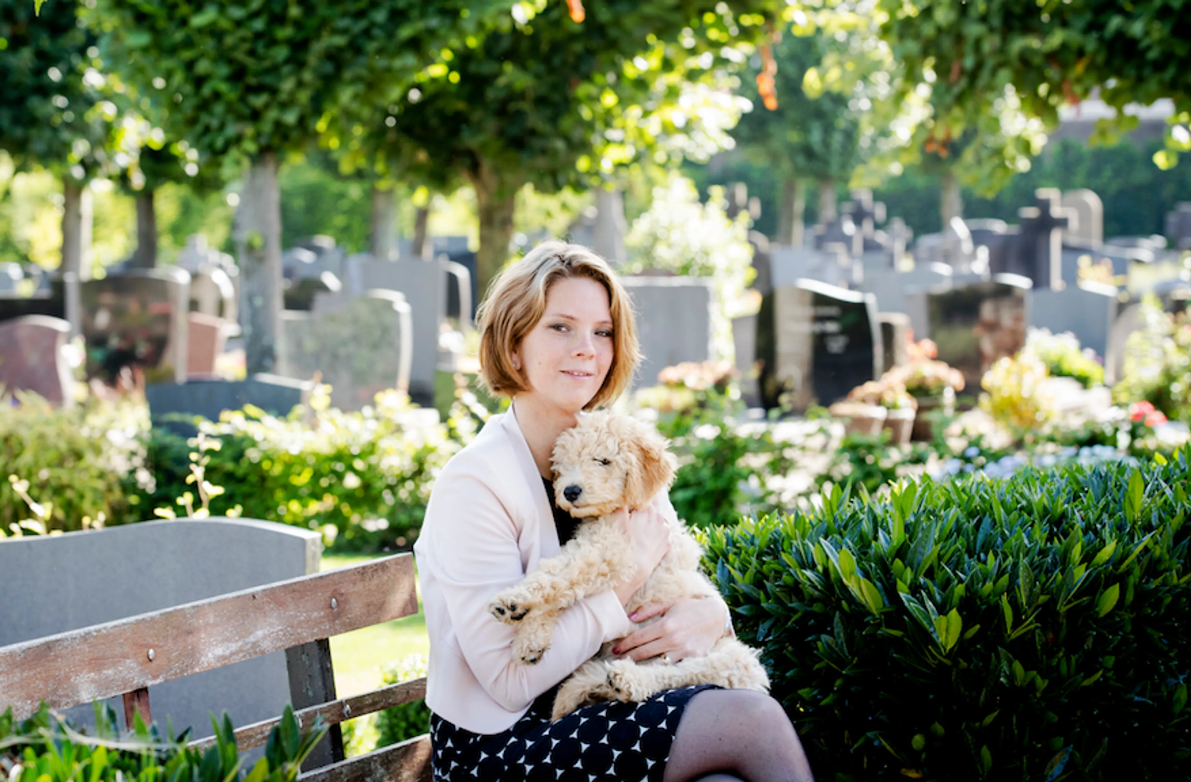 Uitgelichte afbeelding