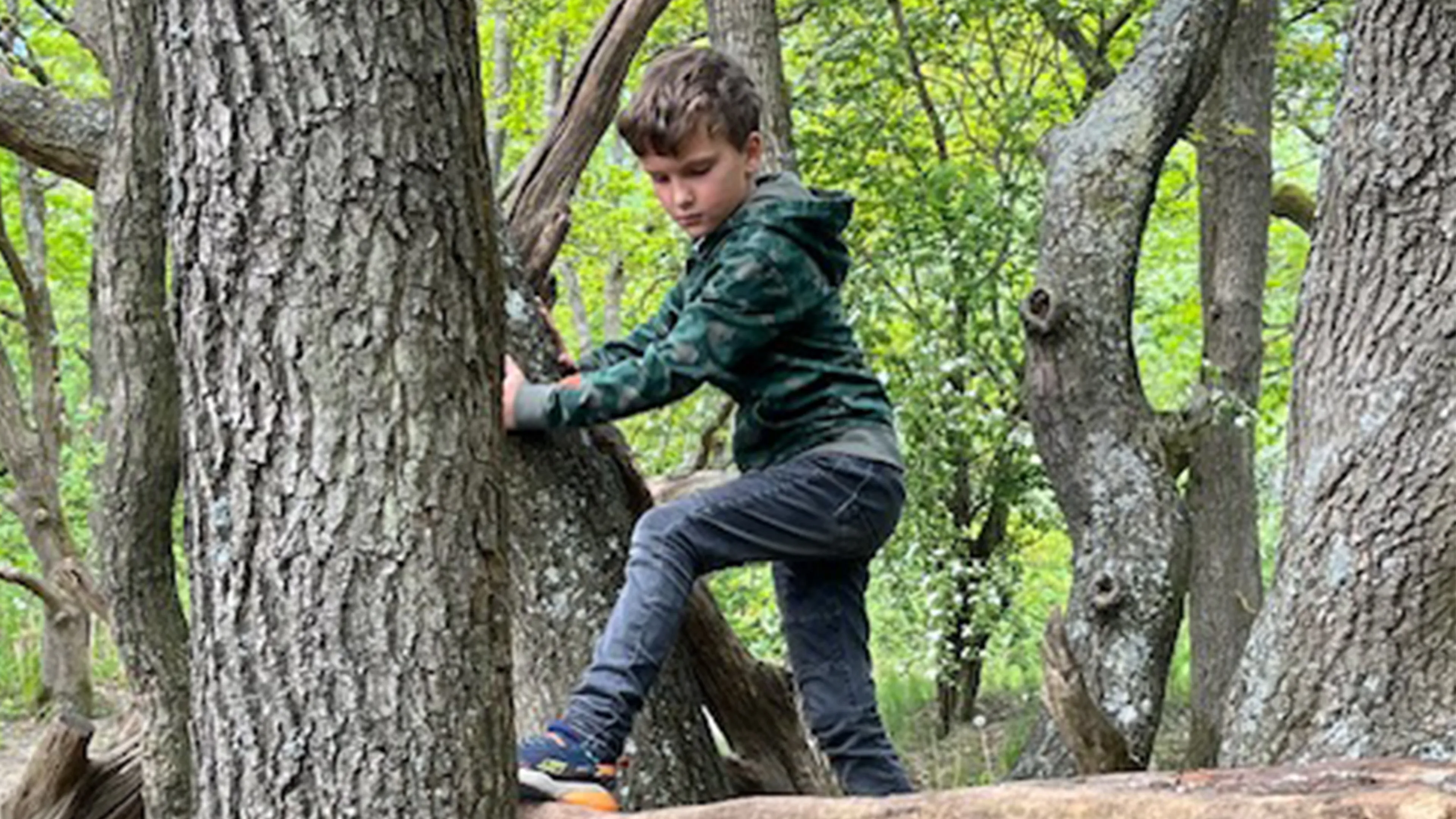 Uitgelichte afbeelding