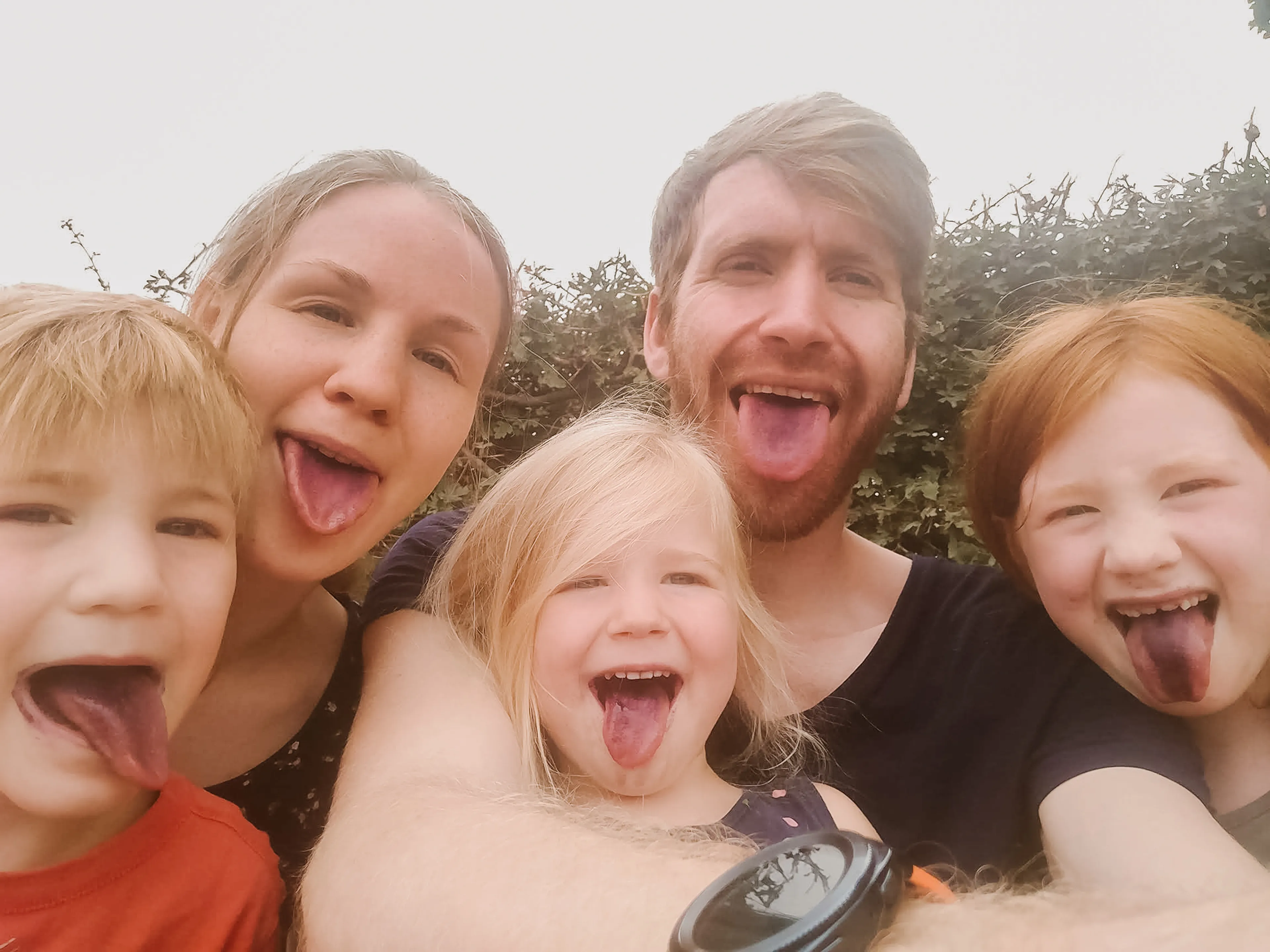 Uitgelichte afbeelding