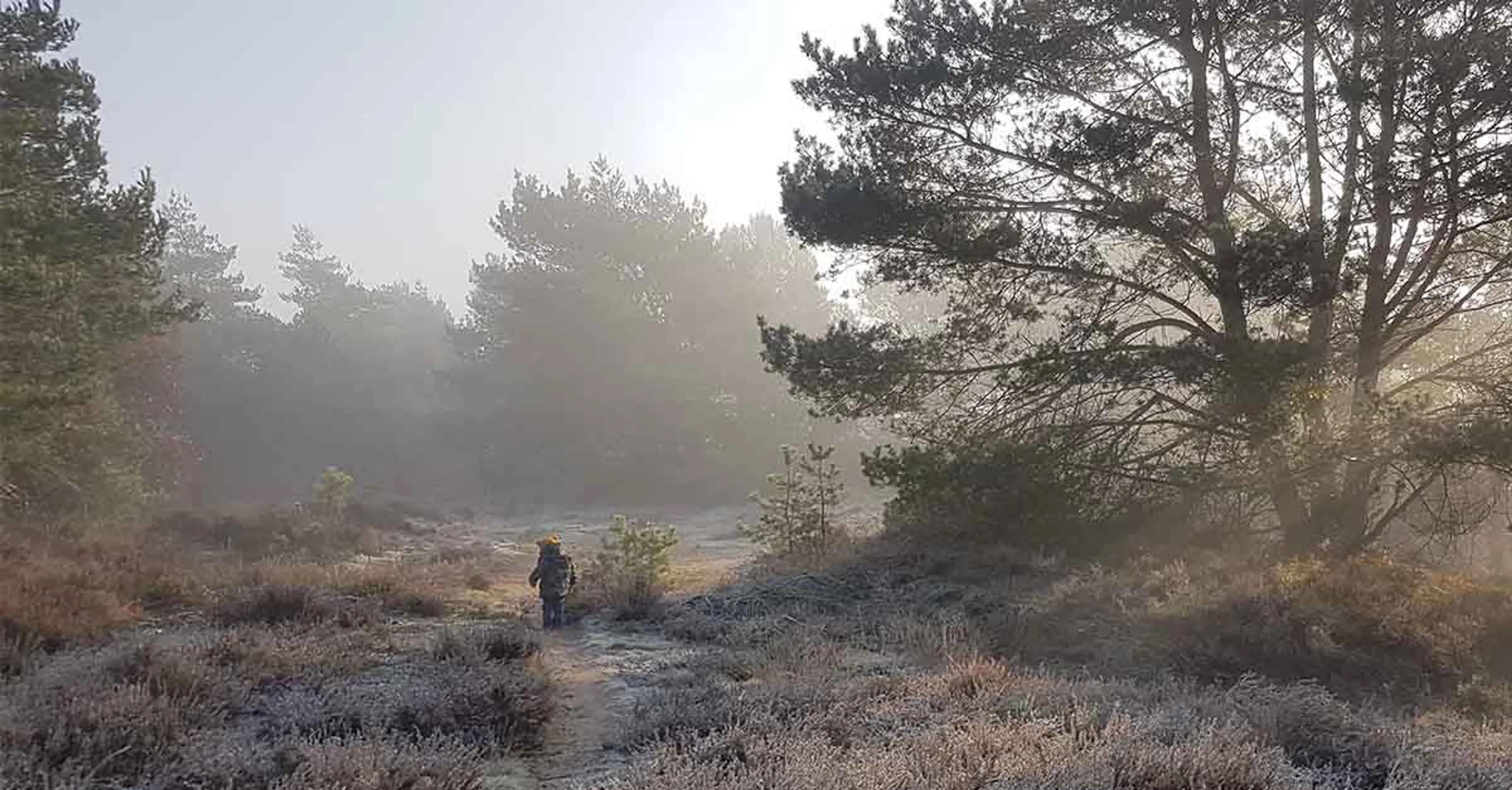 Uitgelichte afbeelding