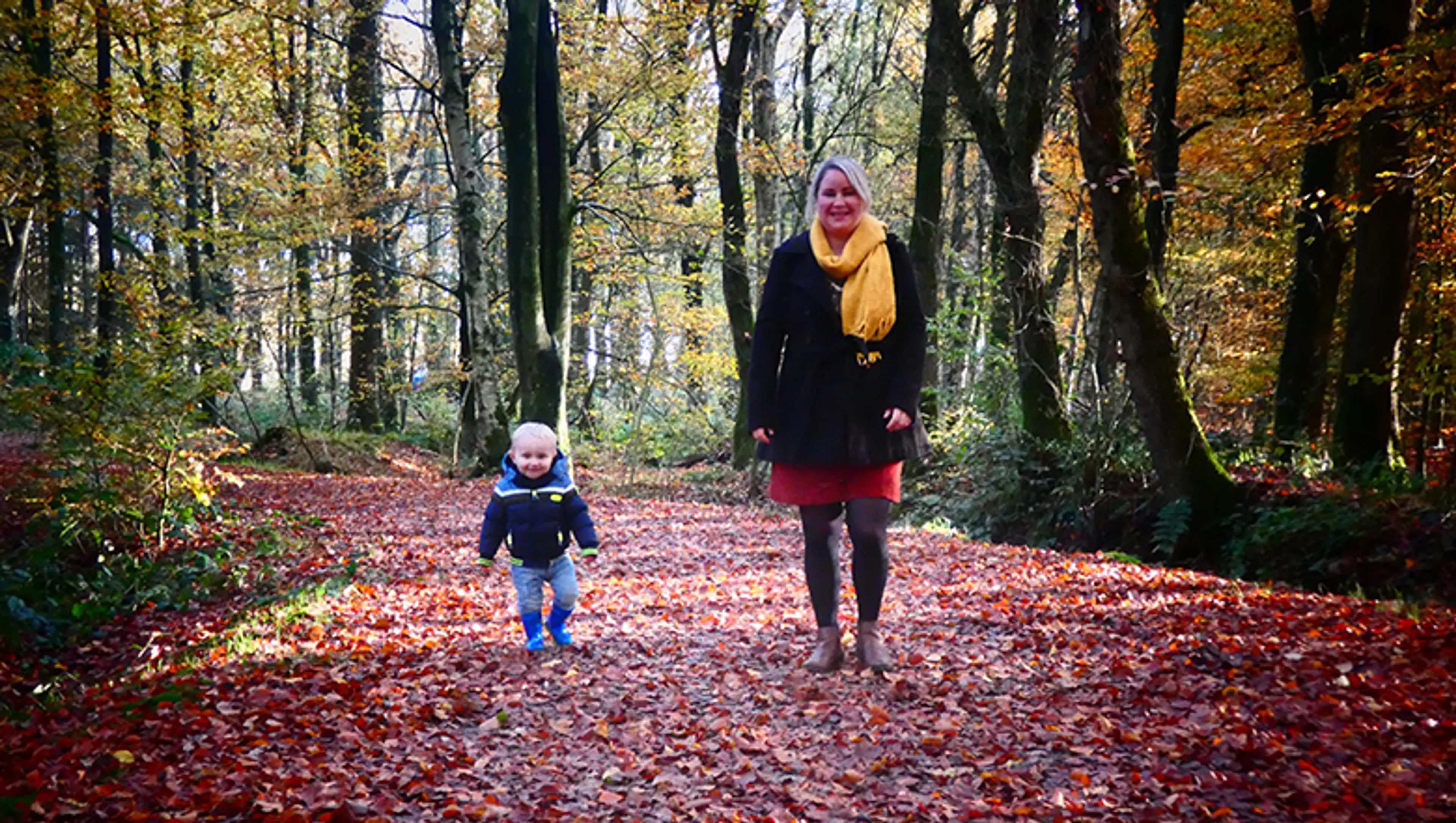 Uitgelichte afbeelding