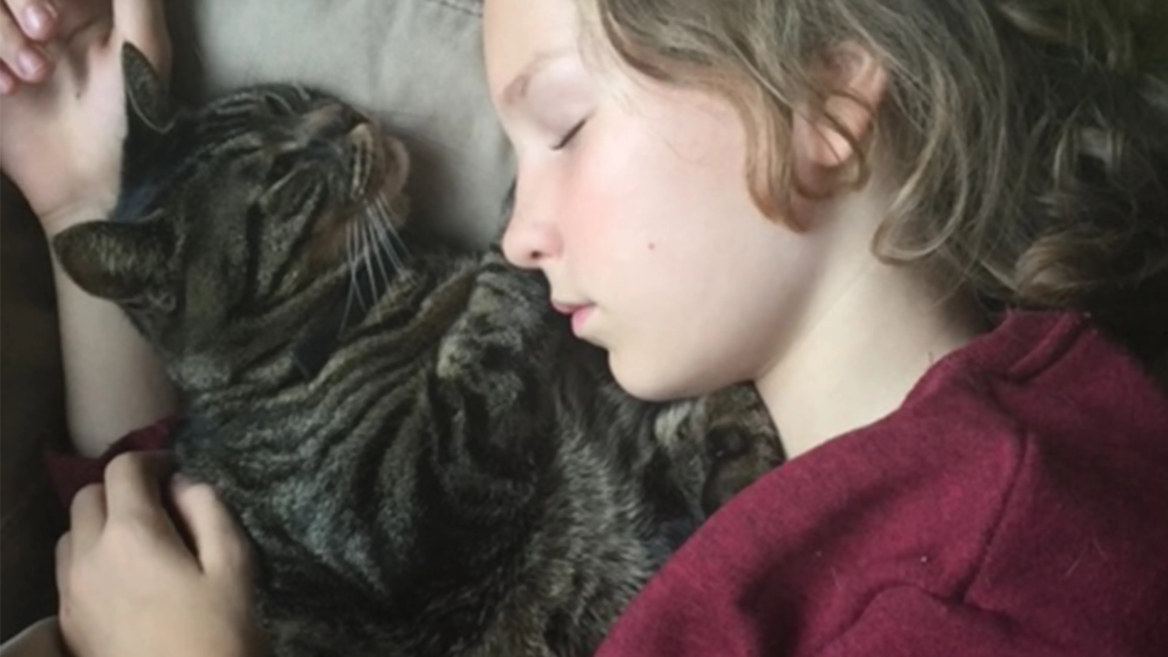 Blog Monique | ‘Storm en Tom zijn vanaf die dag beste vrienden’