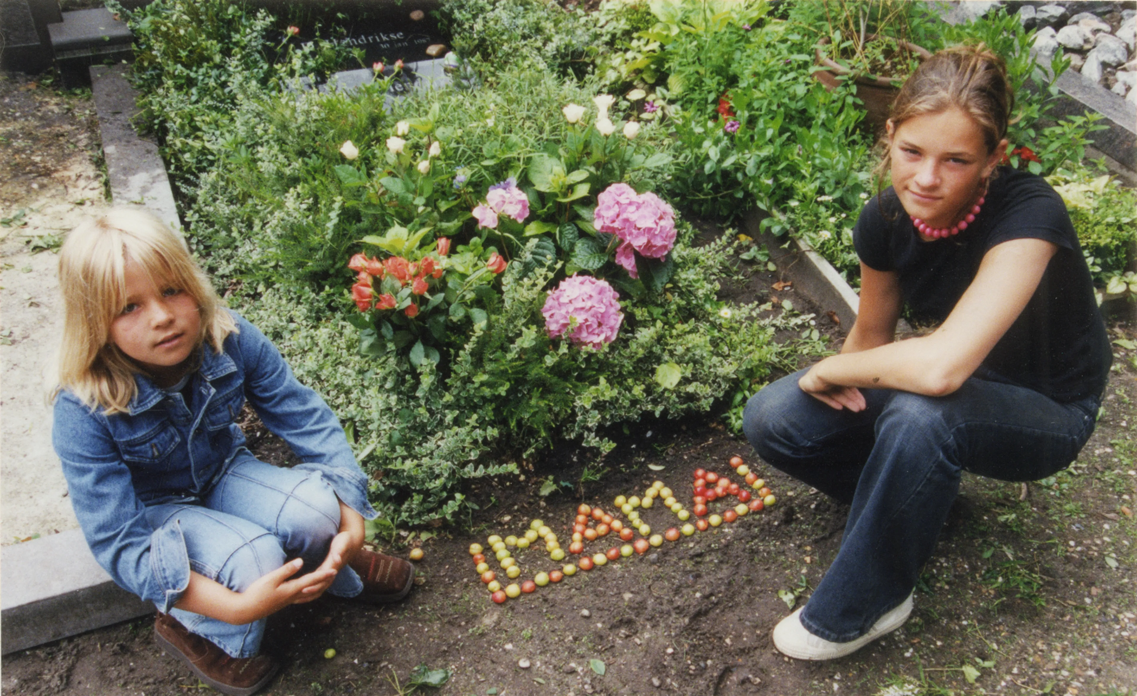 Uitgelichte afbeelding