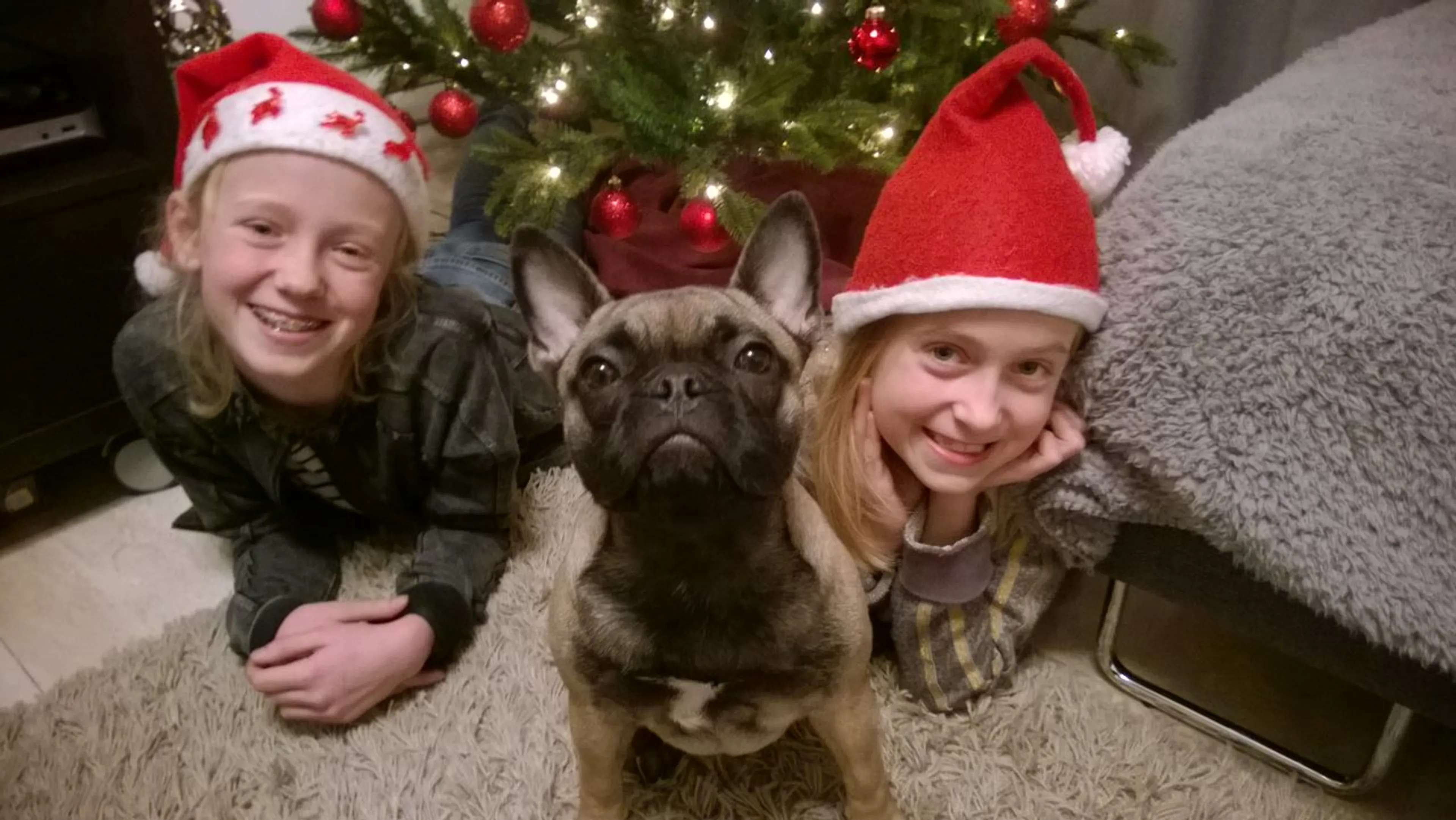 Uitgelichte afbeelding