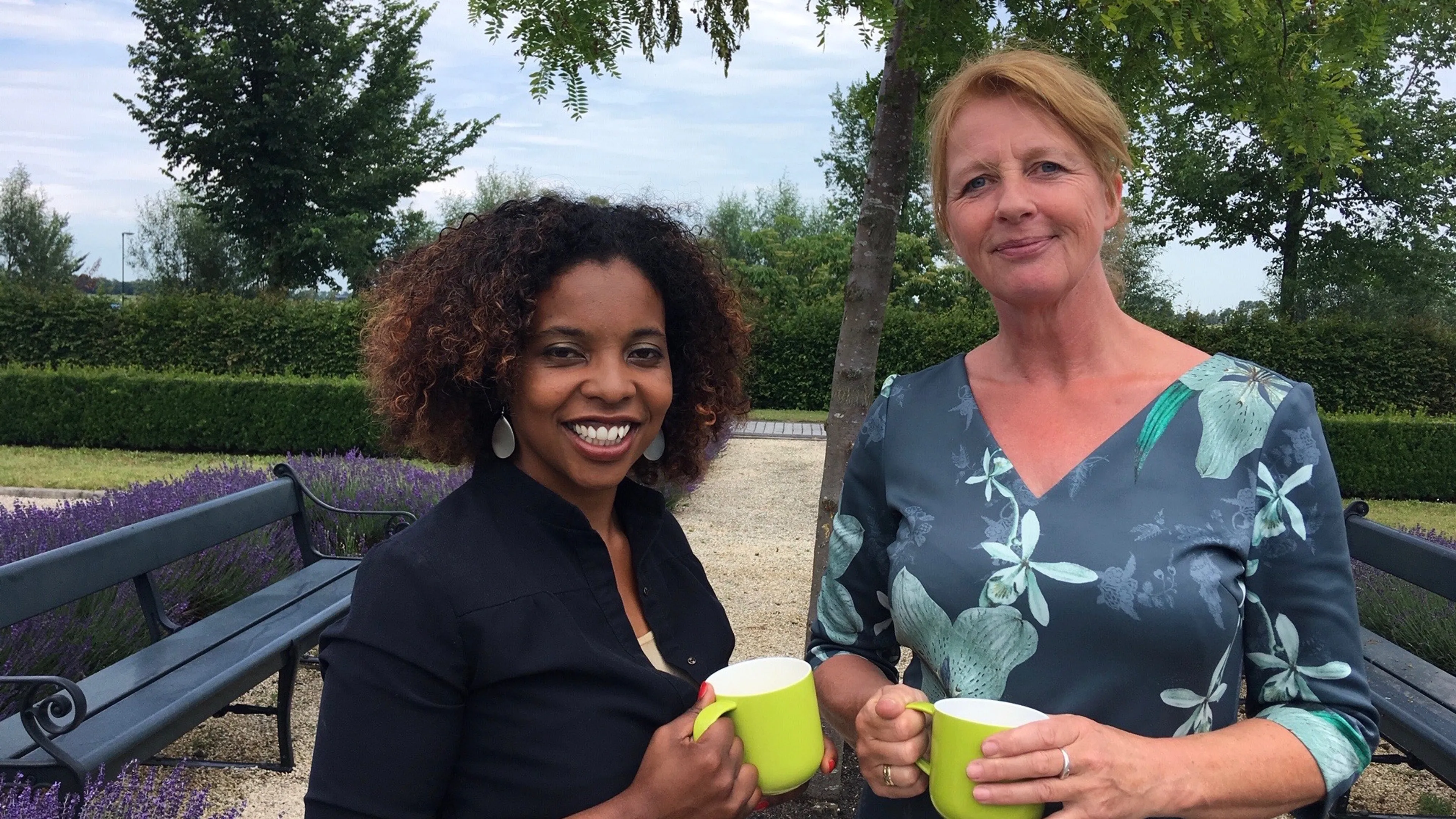 Uitgelichte afbeelding