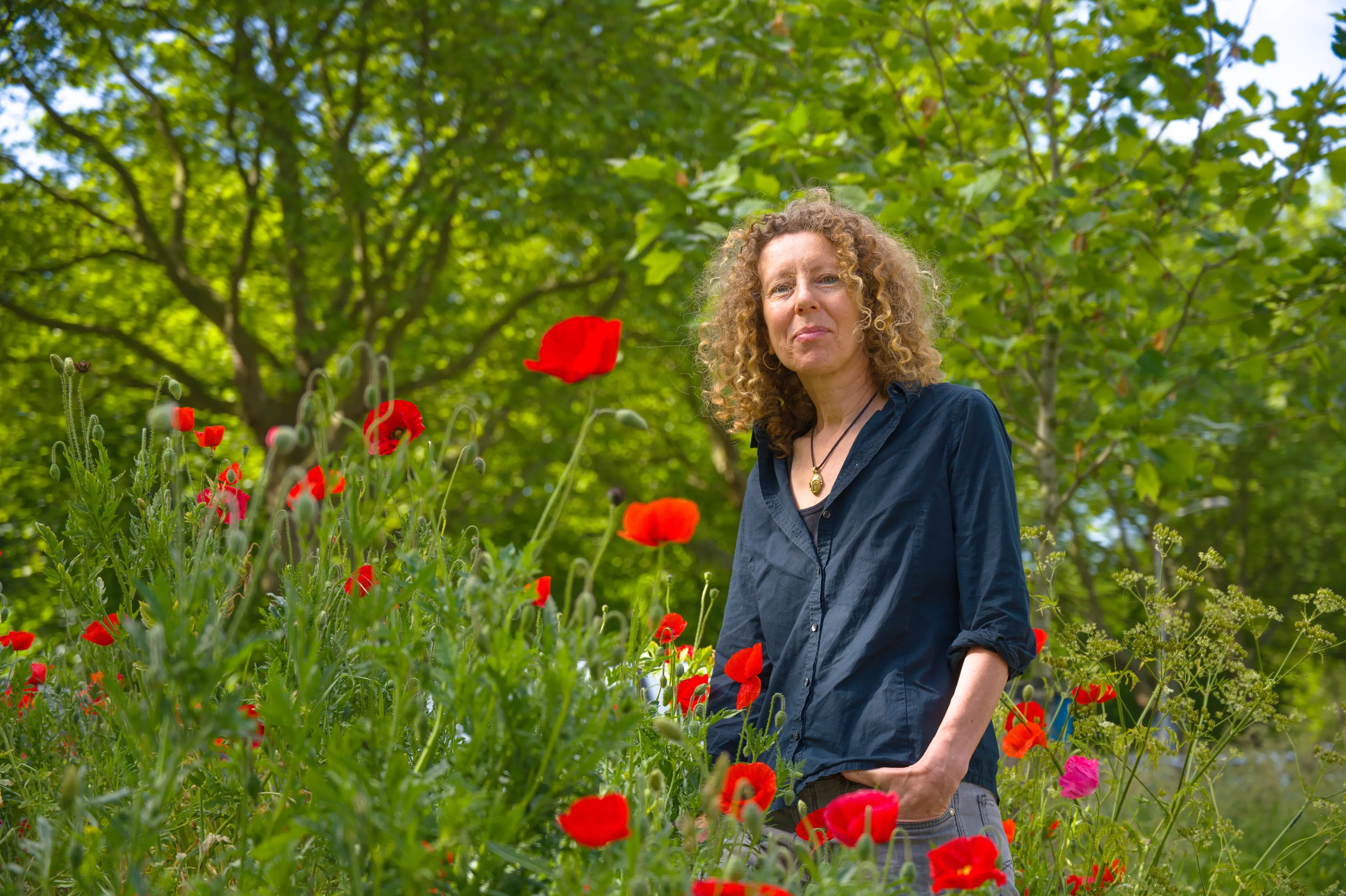 Uitgelichte afbeelding