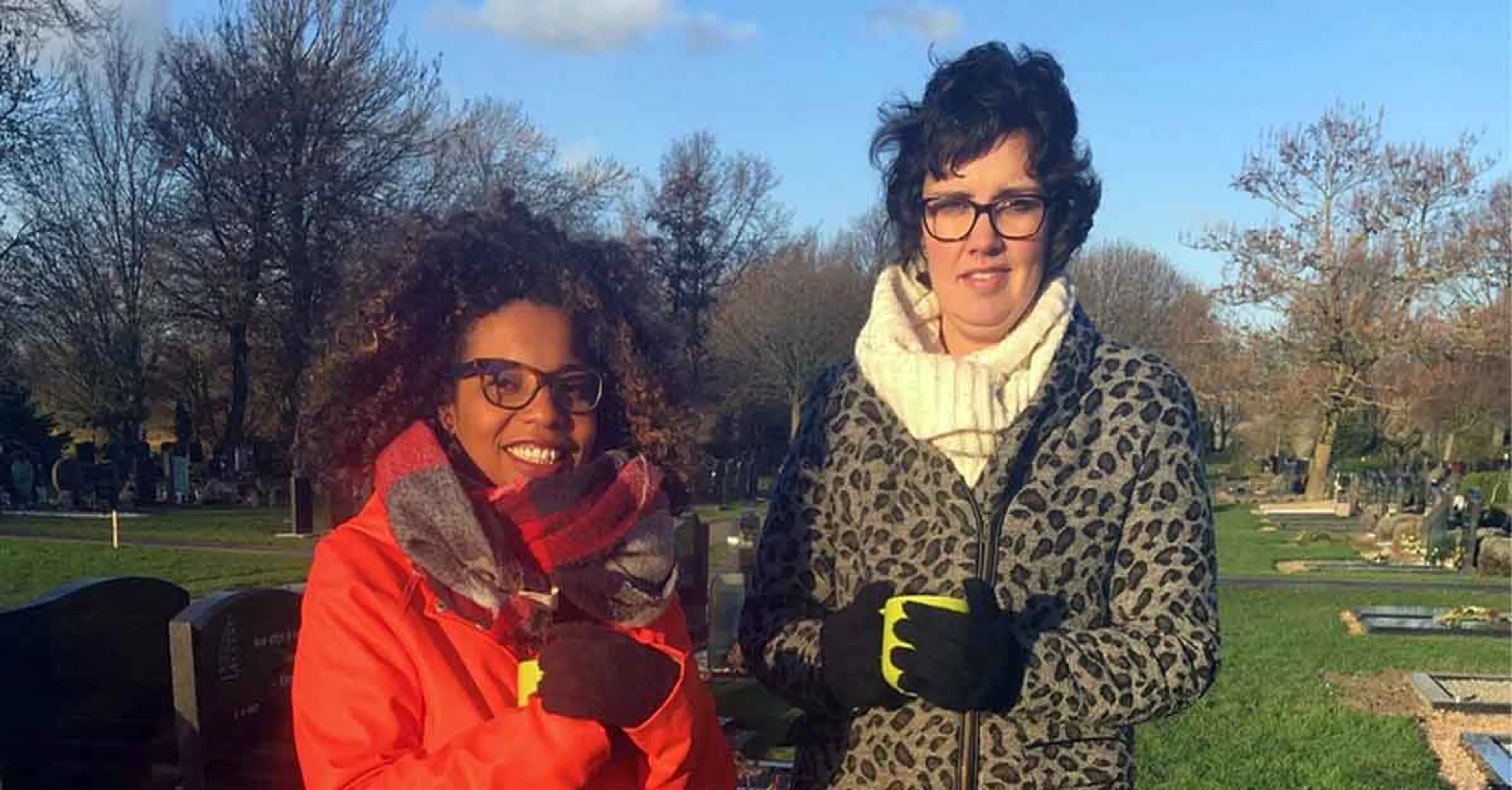 Uitgelichte afbeelding