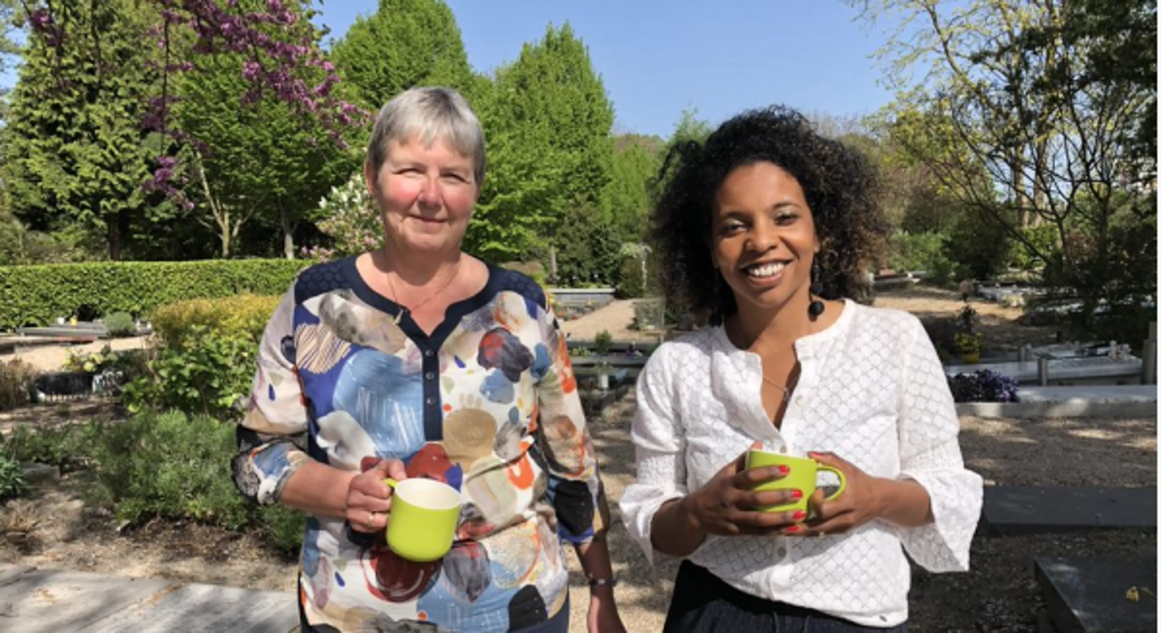 Uitgelichte afbeelding