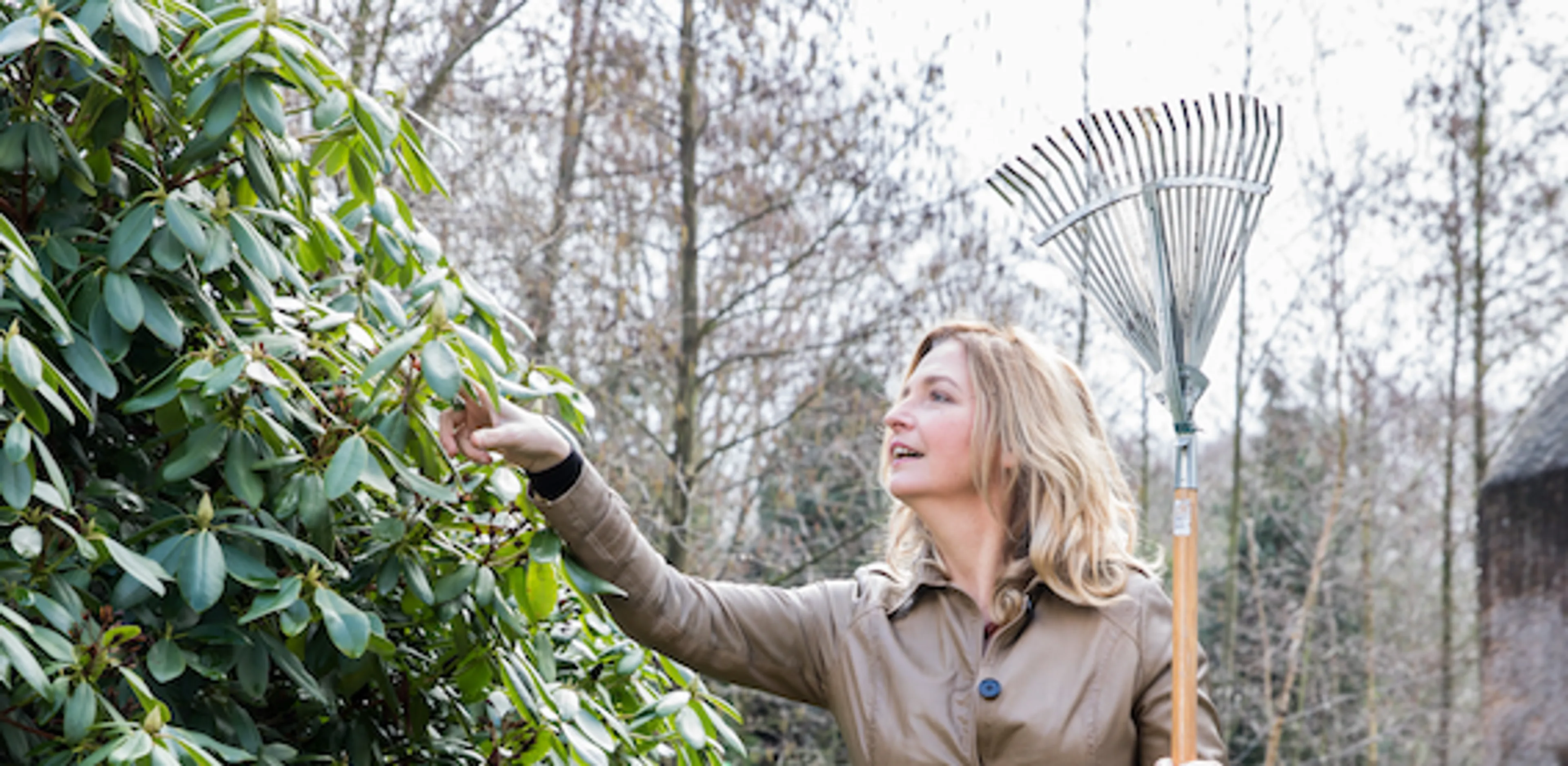 Uitgelichte afbeelding