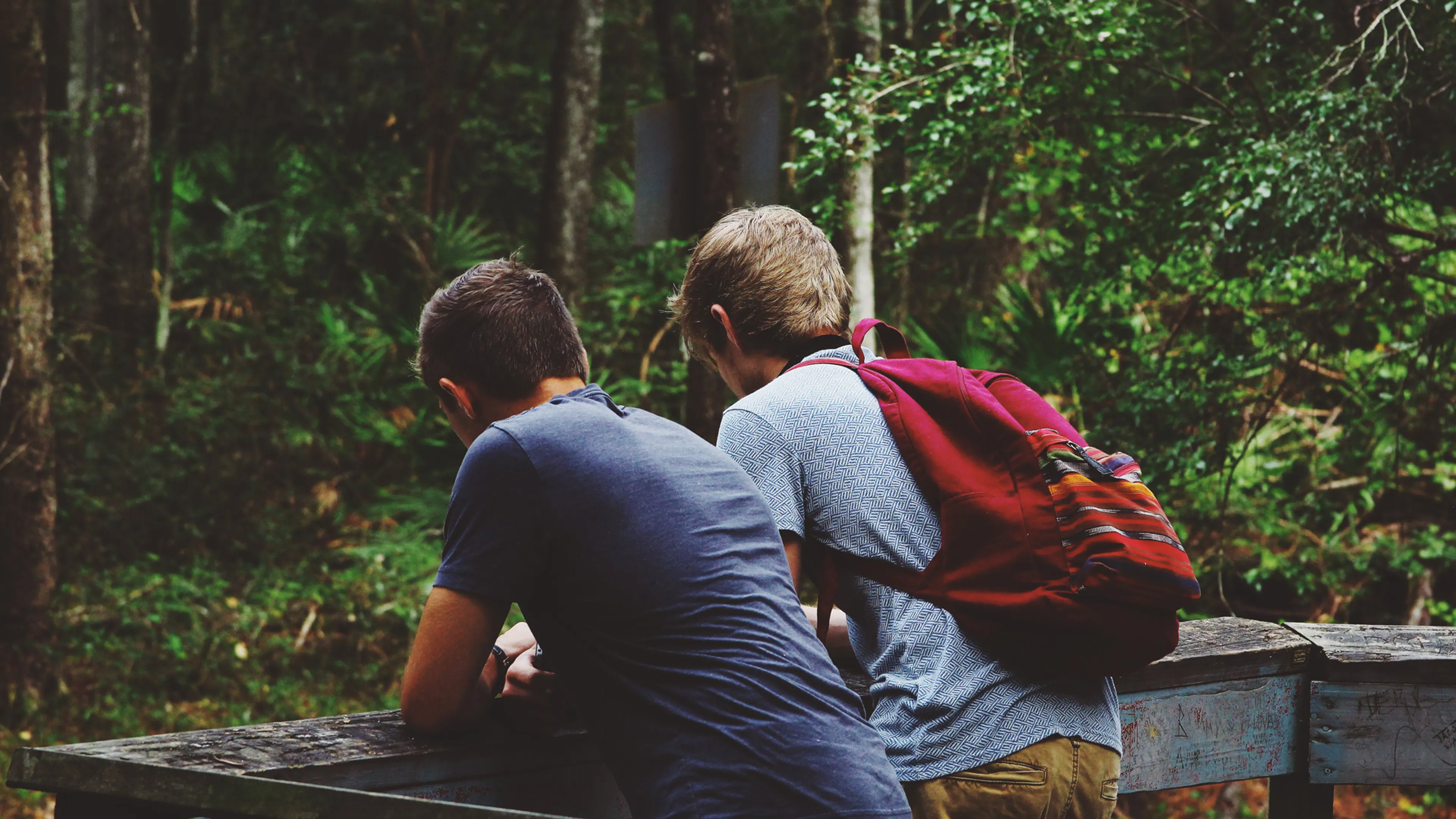 Uitgelichte afbeelding