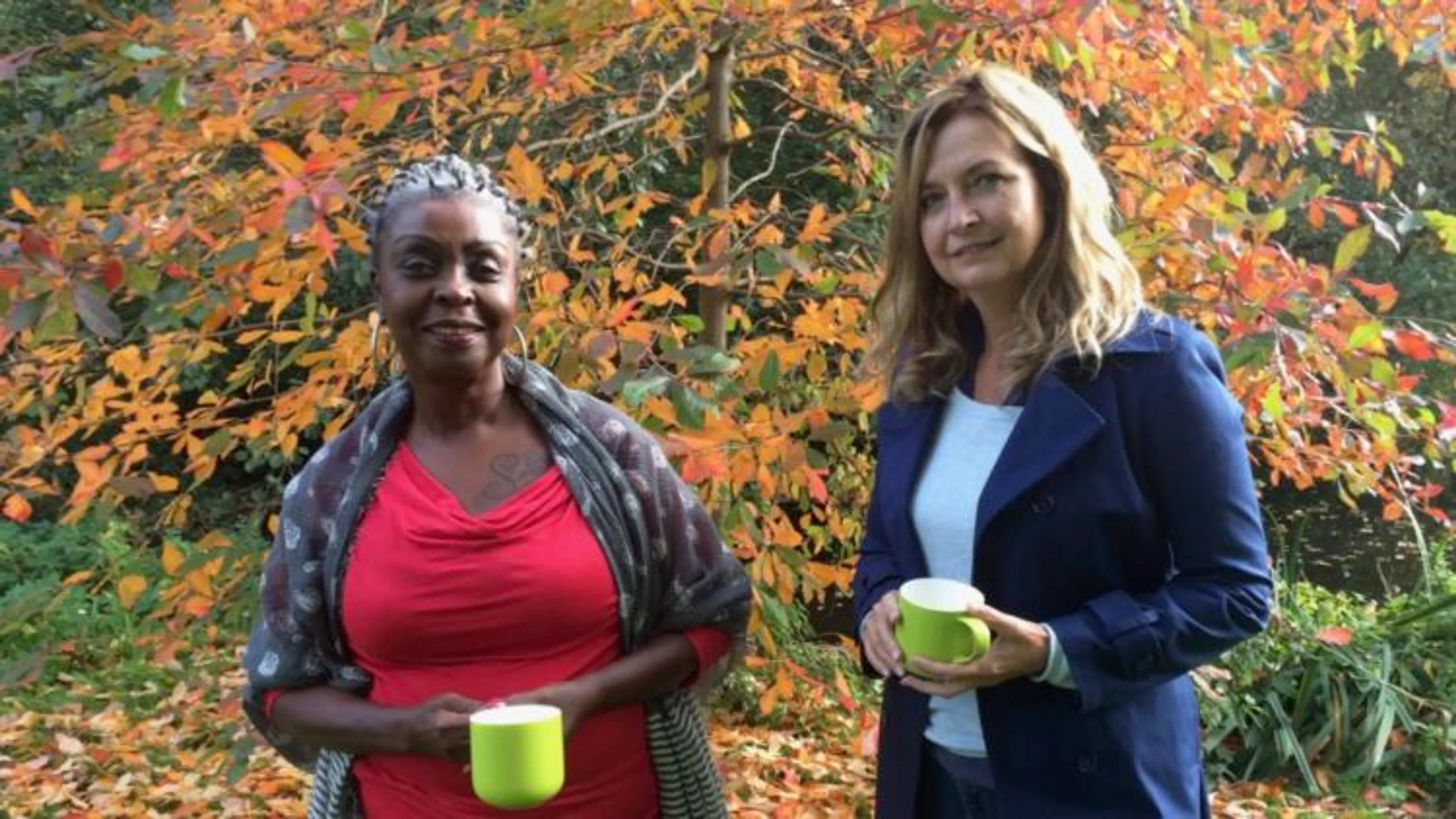 Uitgelichte afbeelding