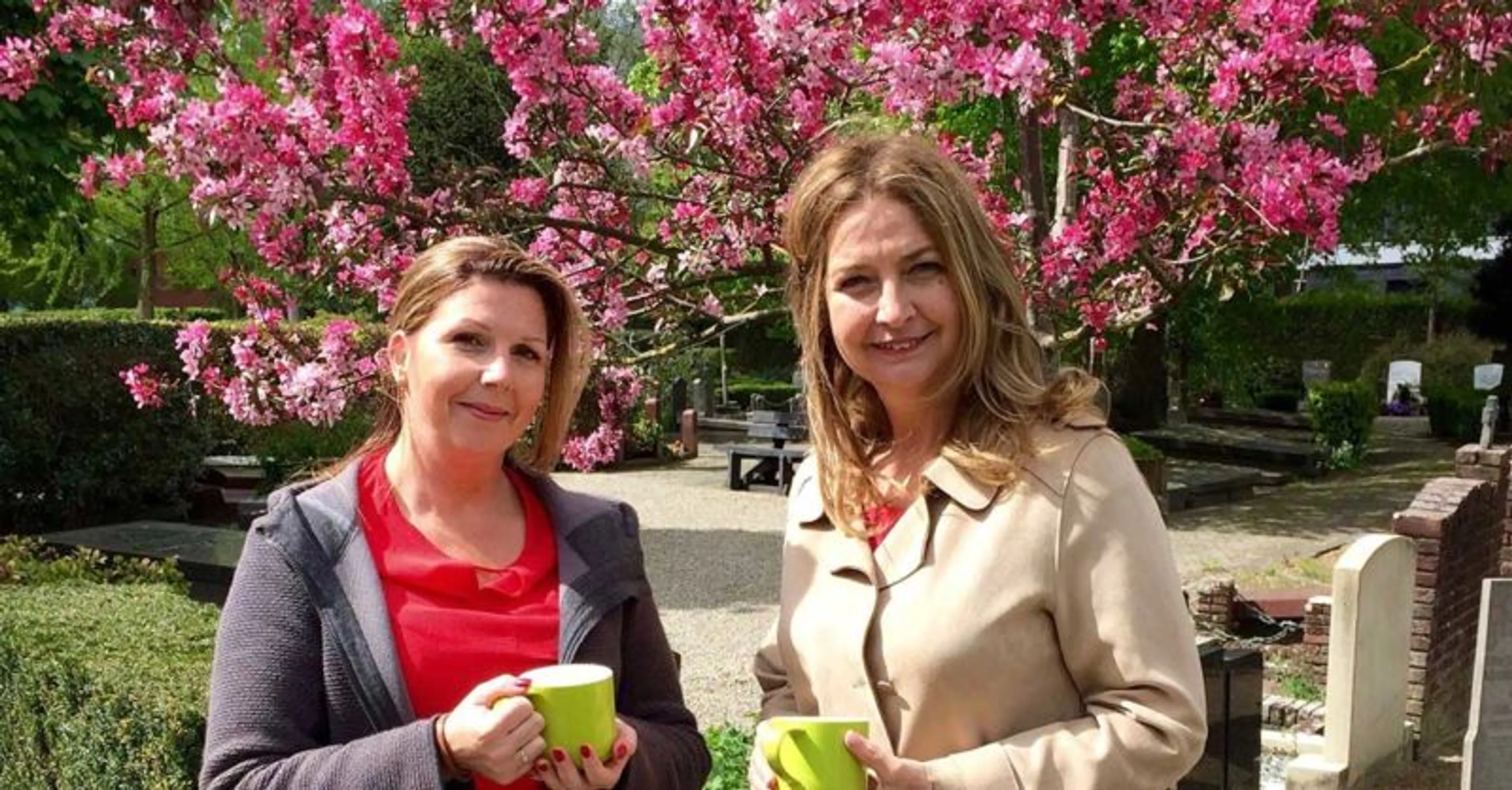 Uitgelichte afbeelding