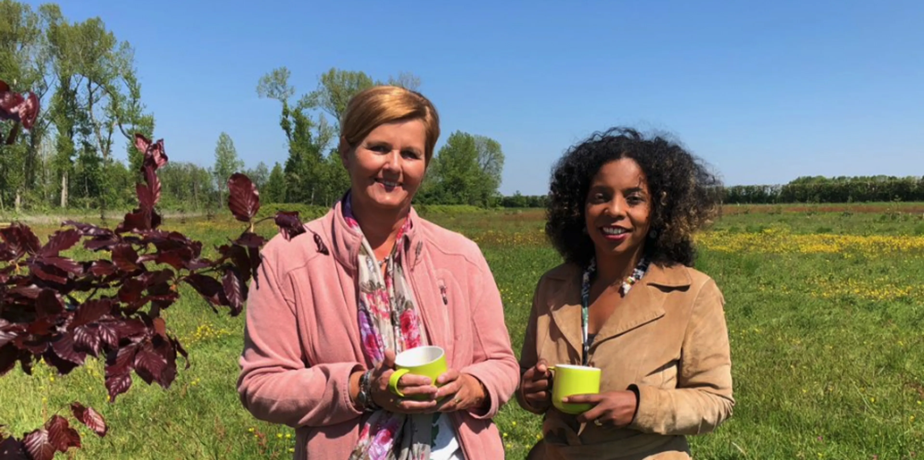 Uitgelichte afbeelding