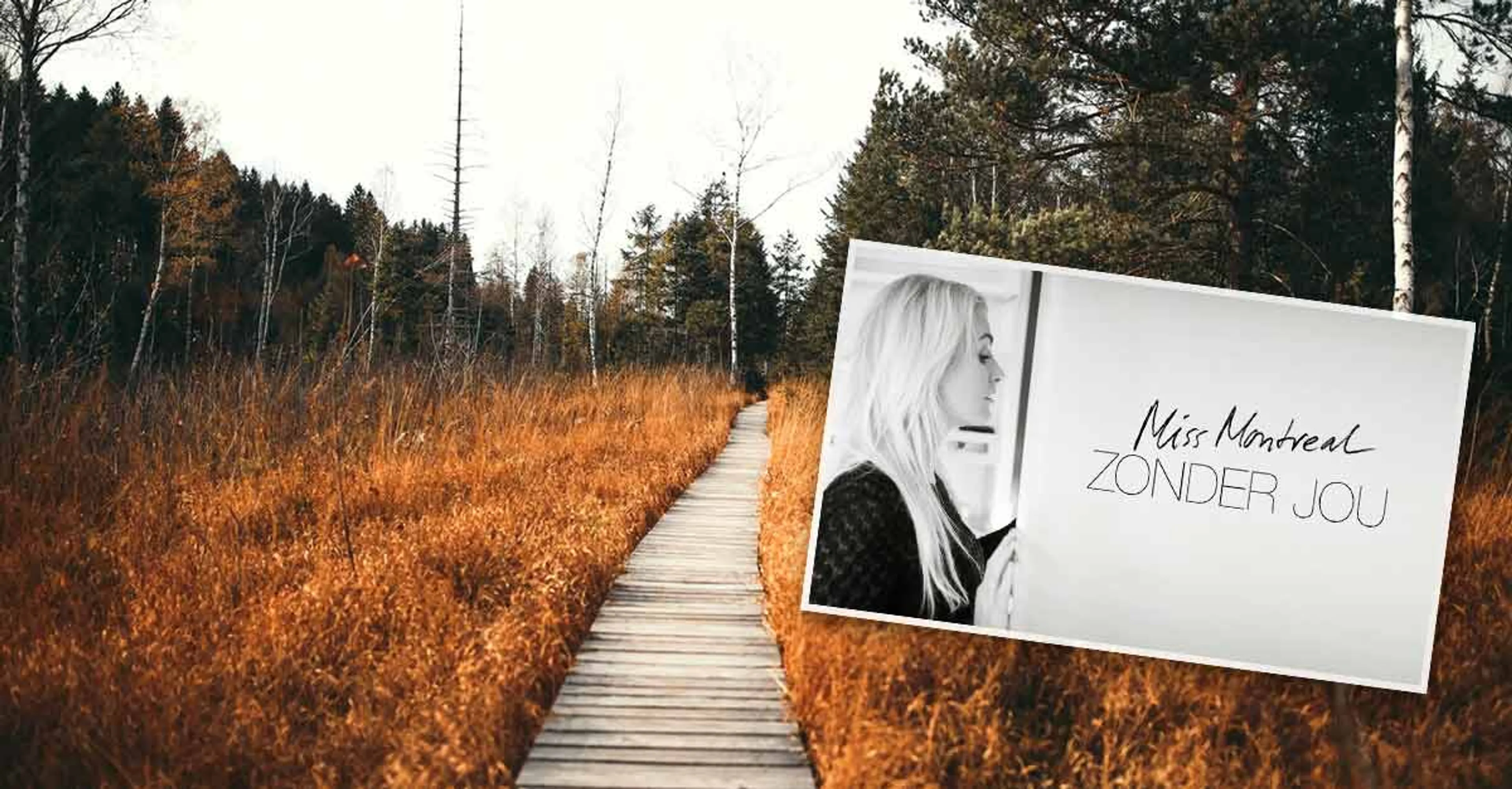 Uitgelichte afbeelding