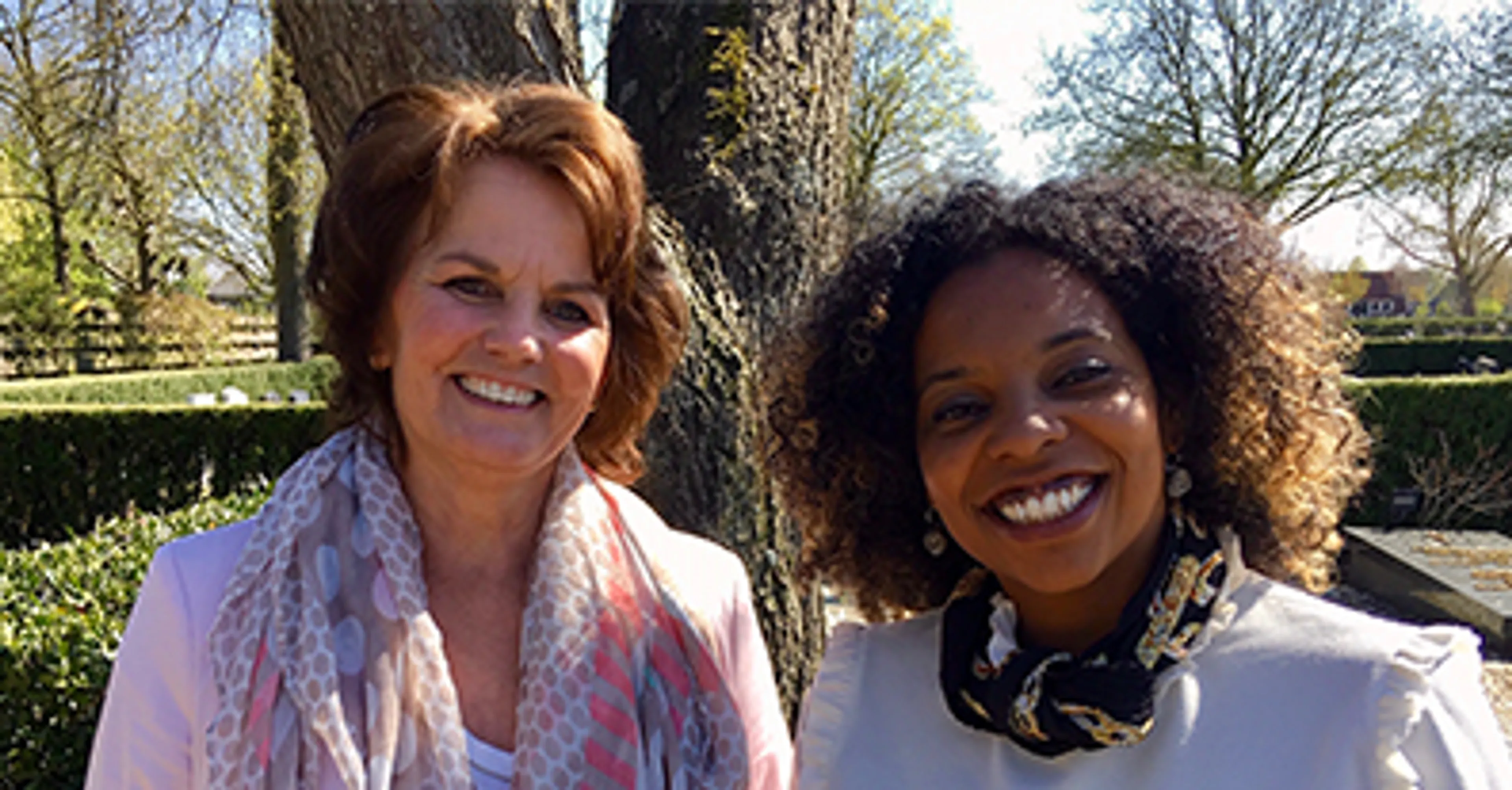 Uitgelichte afbeelding