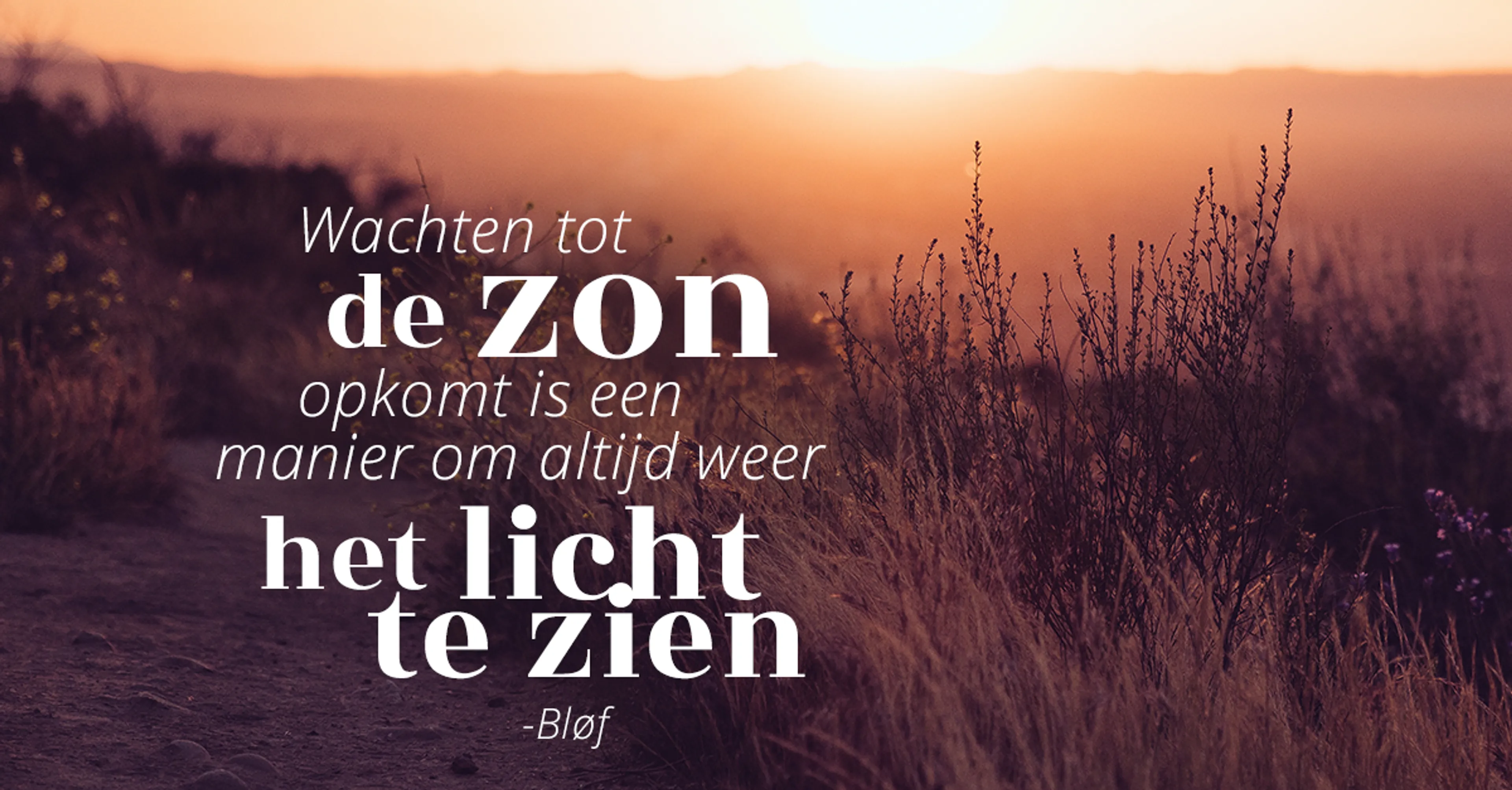 Uitgelichte afbeelding