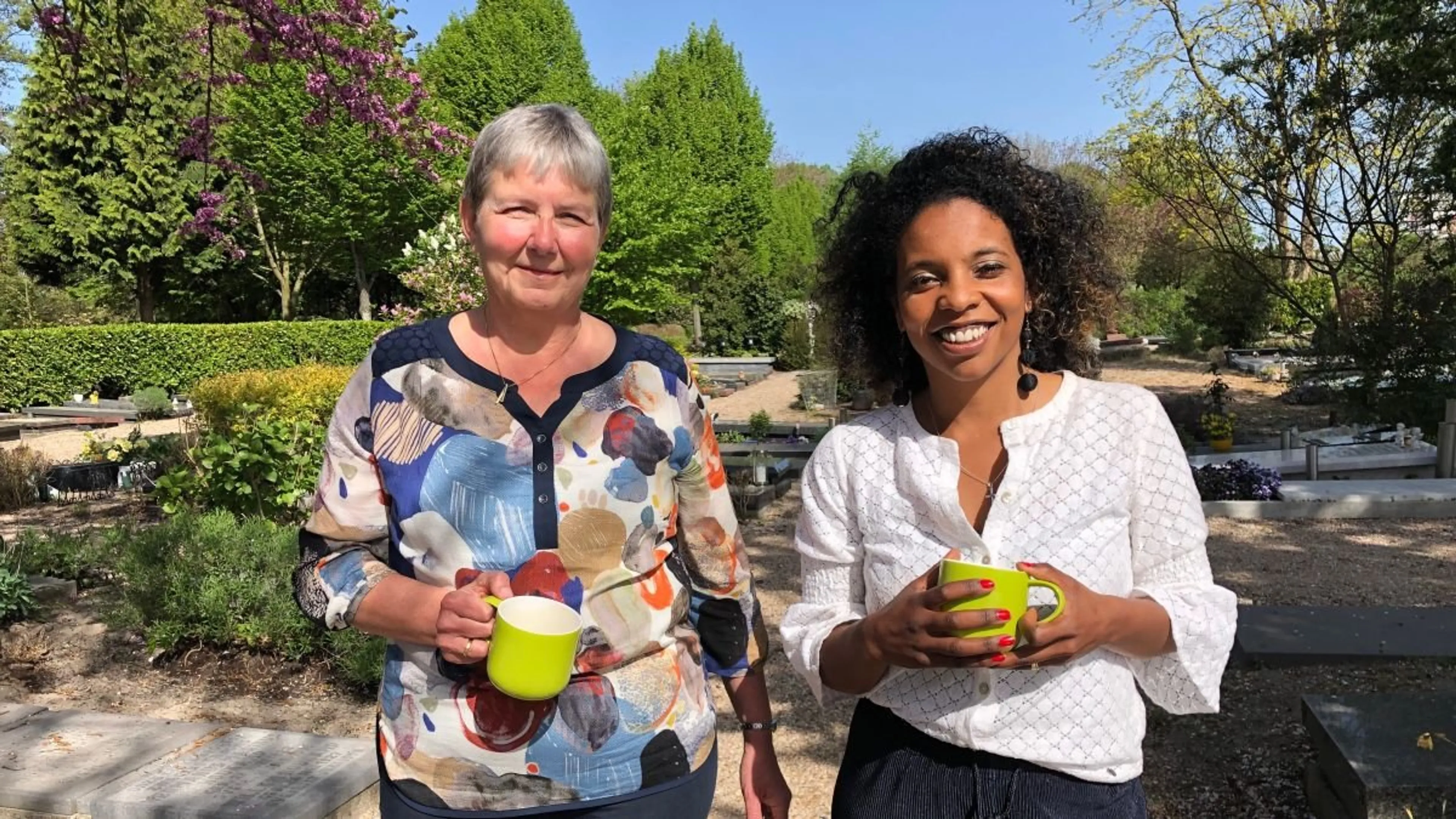 Uitgelichte afbeelding