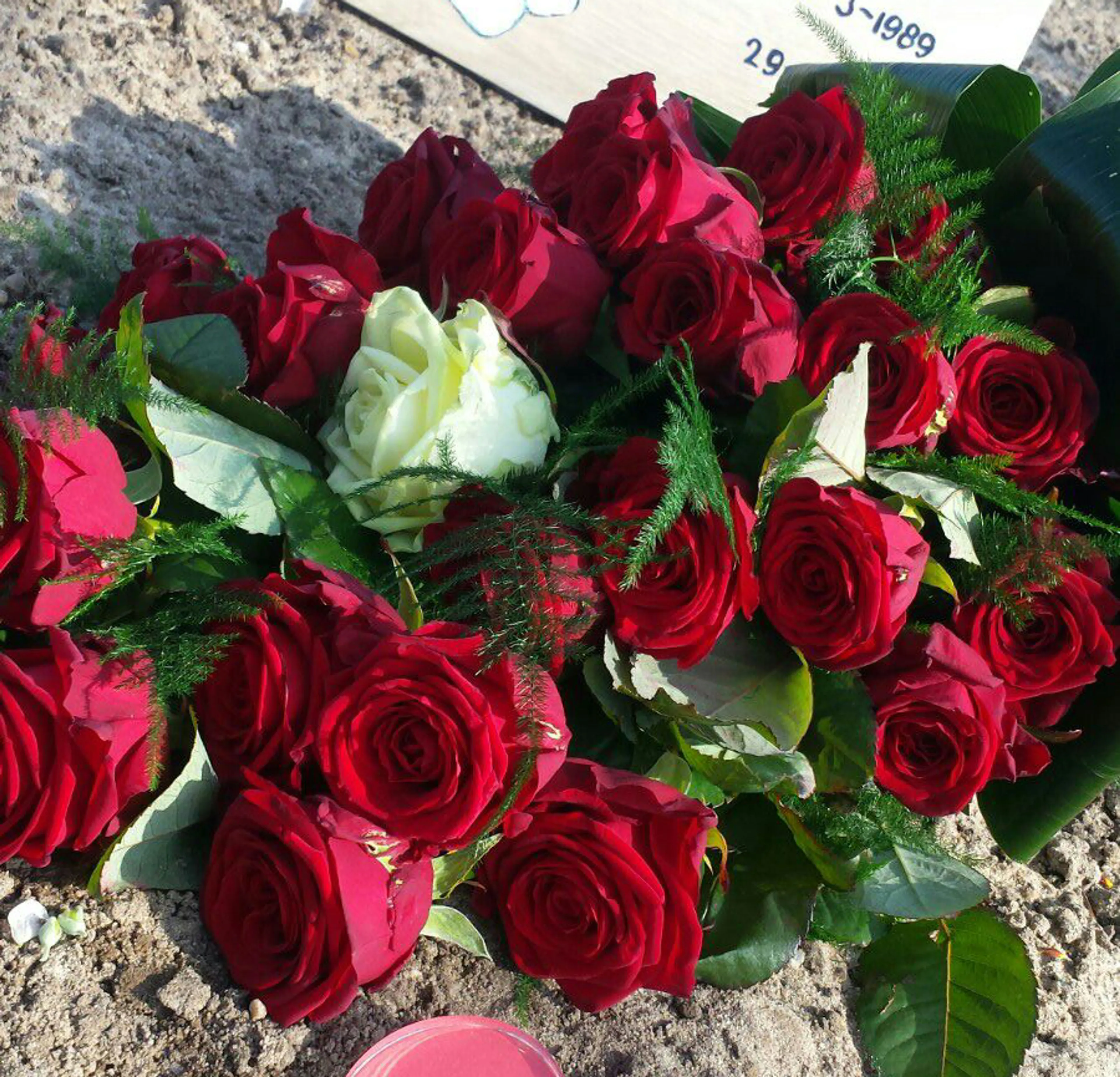 Uitgelichte afbeelding