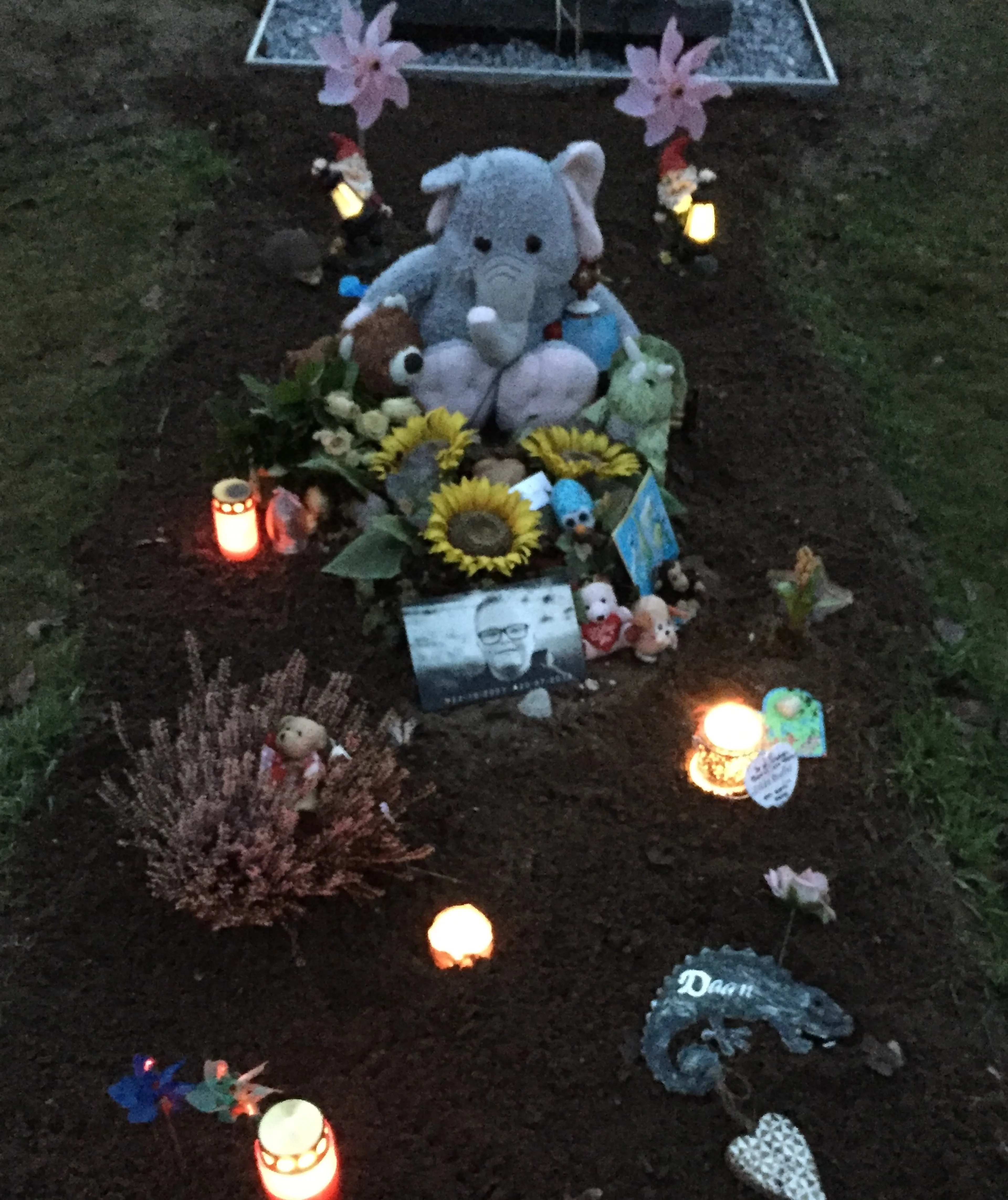 Uitgelichte afbeelding