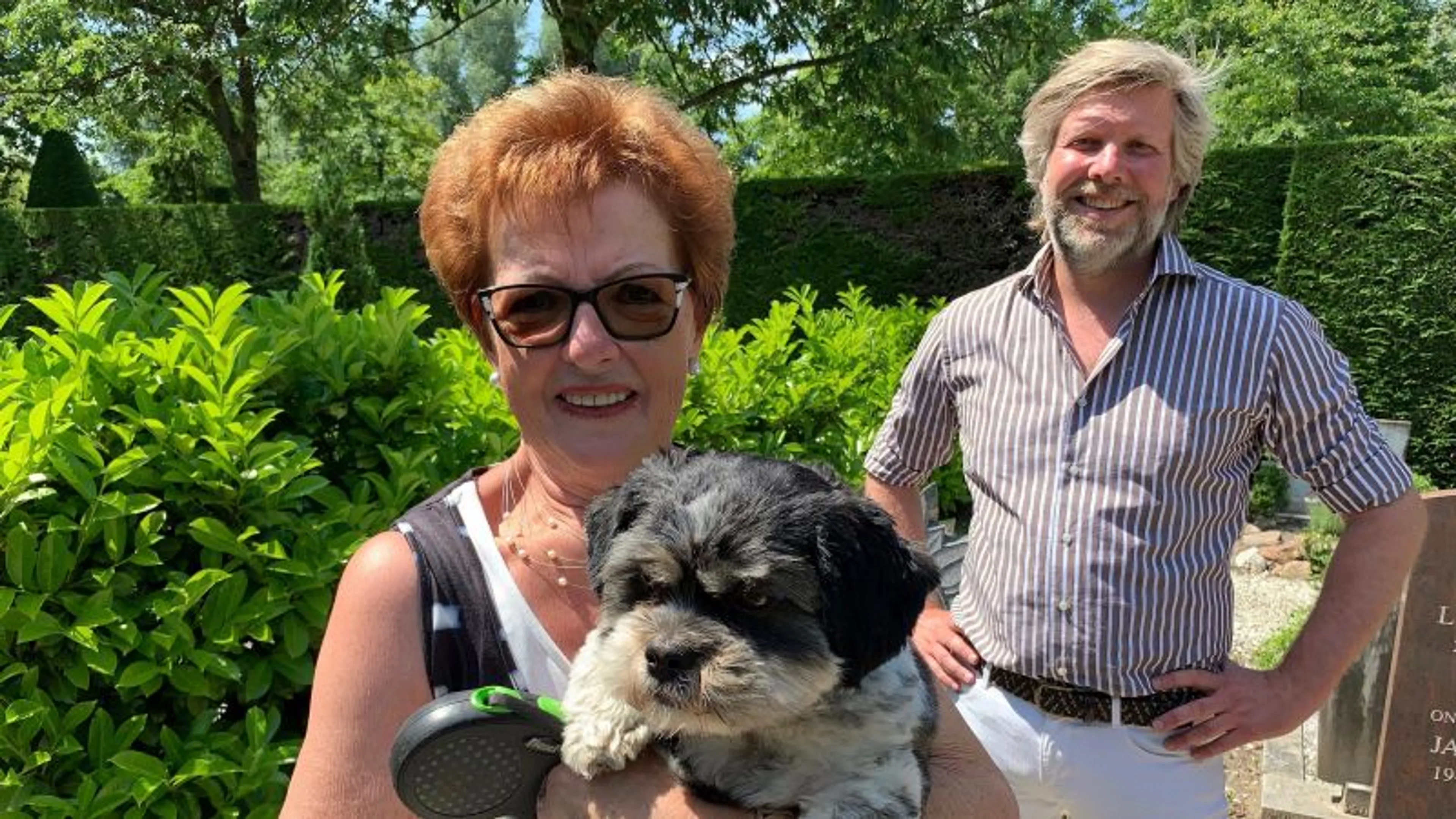 Uitgelichte afbeelding