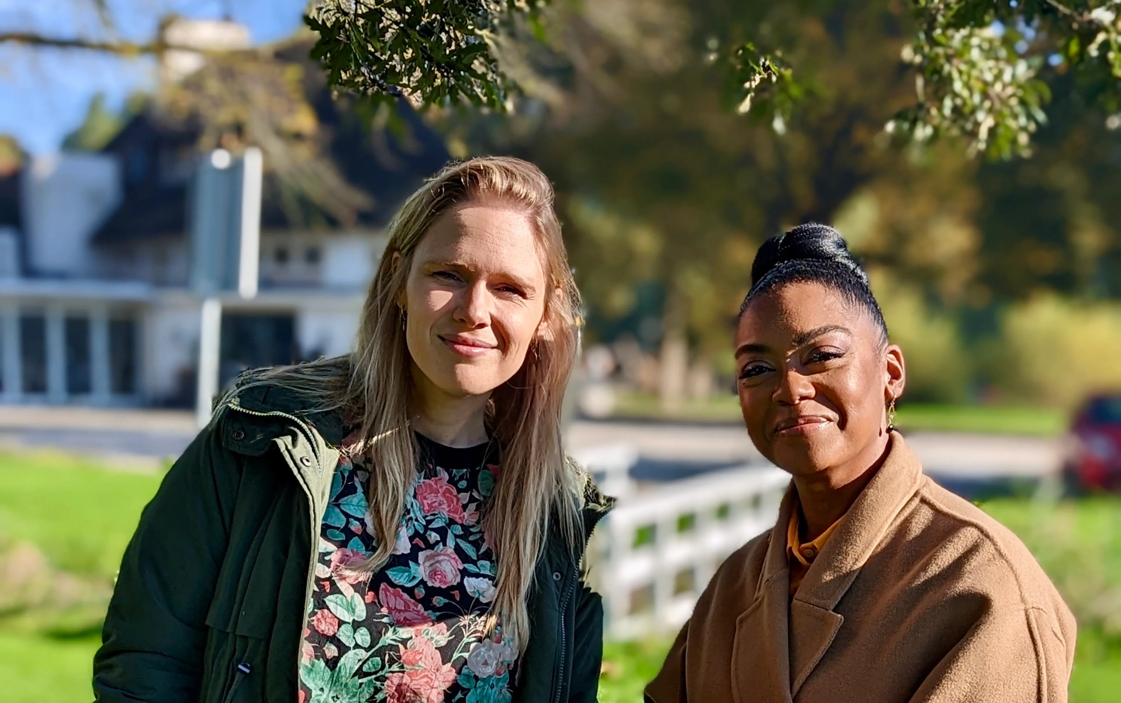 Uitgelichte afbeelding