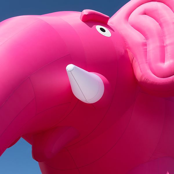 Daan Westerink | De roze olifant van verdriet