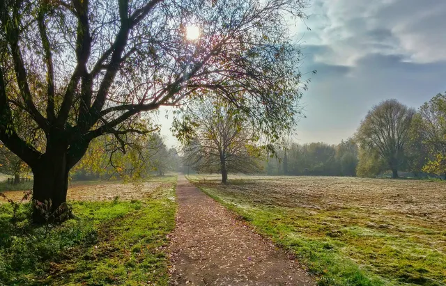 Uitgelichte afbeelding