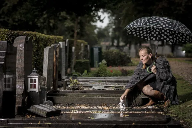 Uitgelichte afbeelding