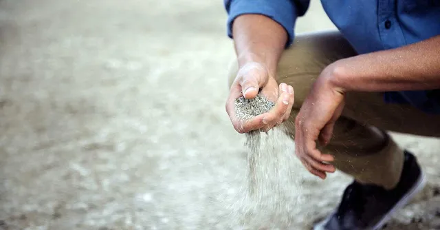 Uitgelichte afbeelding