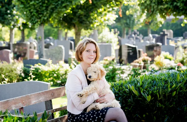 Uitgelichte afbeelding