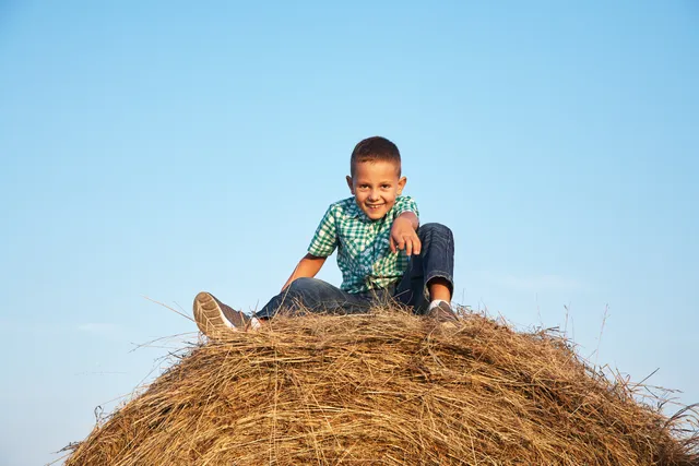 Uitgelichte afbeelding