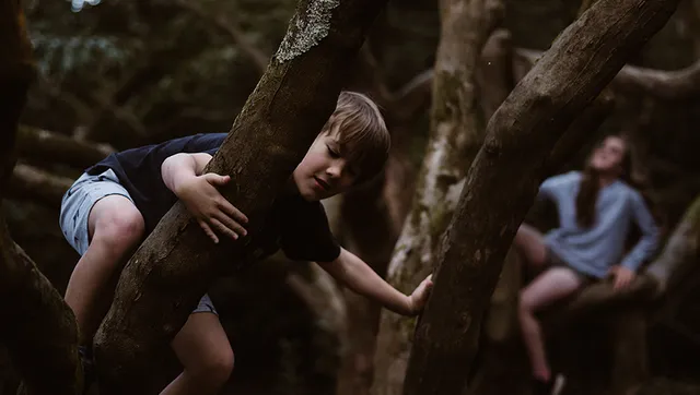 Uitgelichte afbeelding