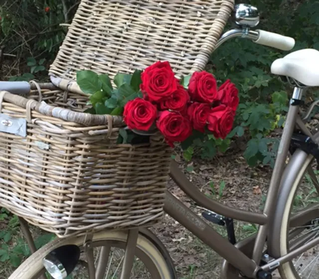 Uitgelichte afbeelding