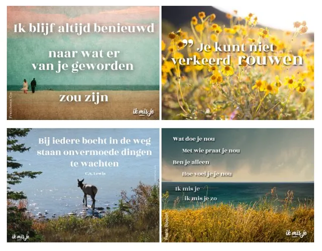 Uitgelichte afbeelding