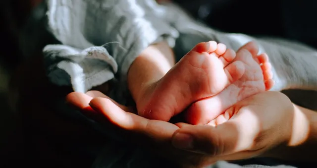 Uitgelichte afbeelding